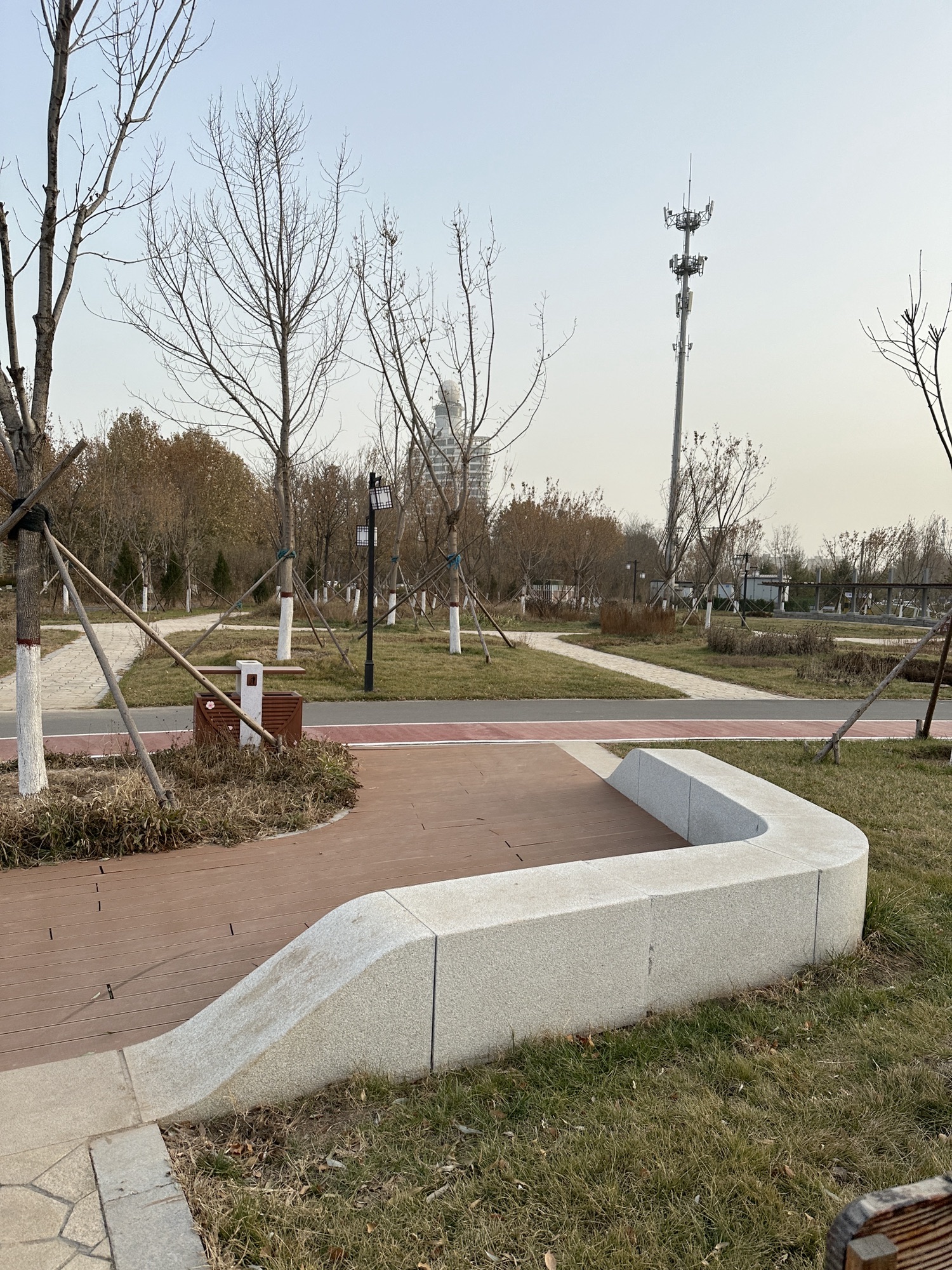 沧州植物园(二期)旅行图片 3