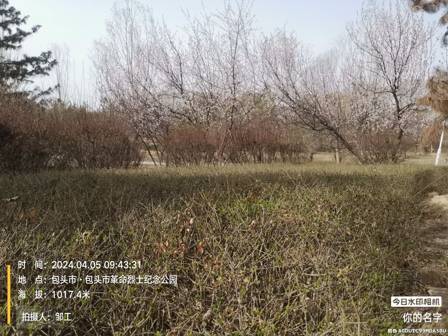 包头市革命烈士纪念公园旅行图片 3