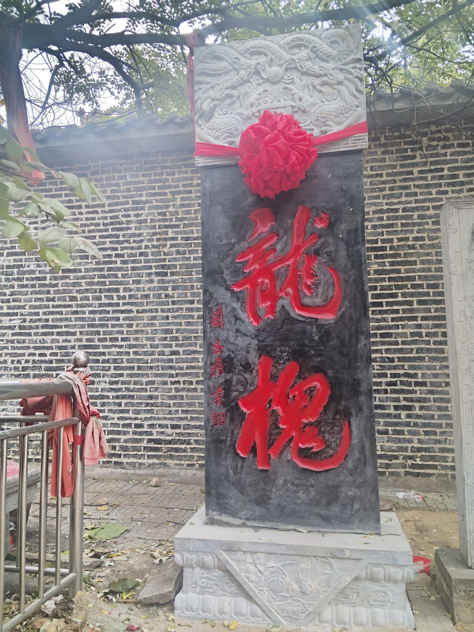 千年龙槐旅行图片 2