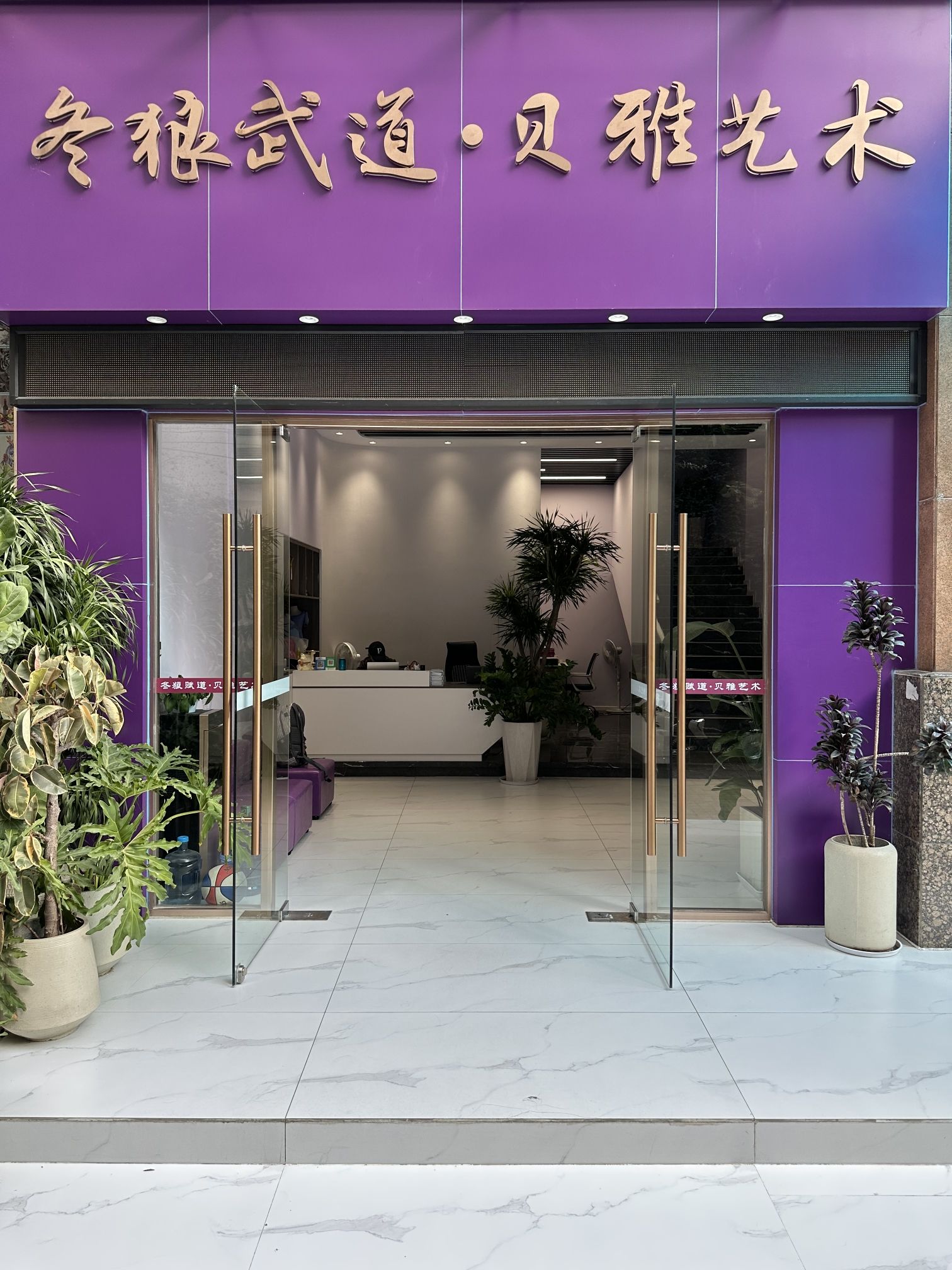 场地封面-冬狼武道·贝雅艺术