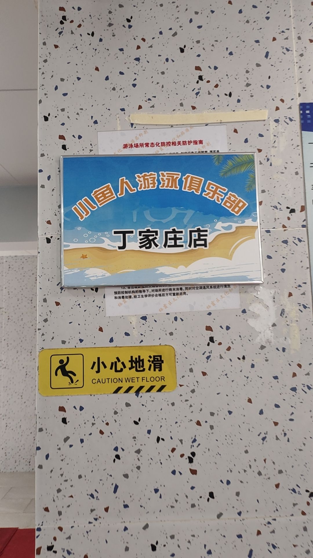 场地封面-小鱼人游泳俱乐部(丁家庄店)