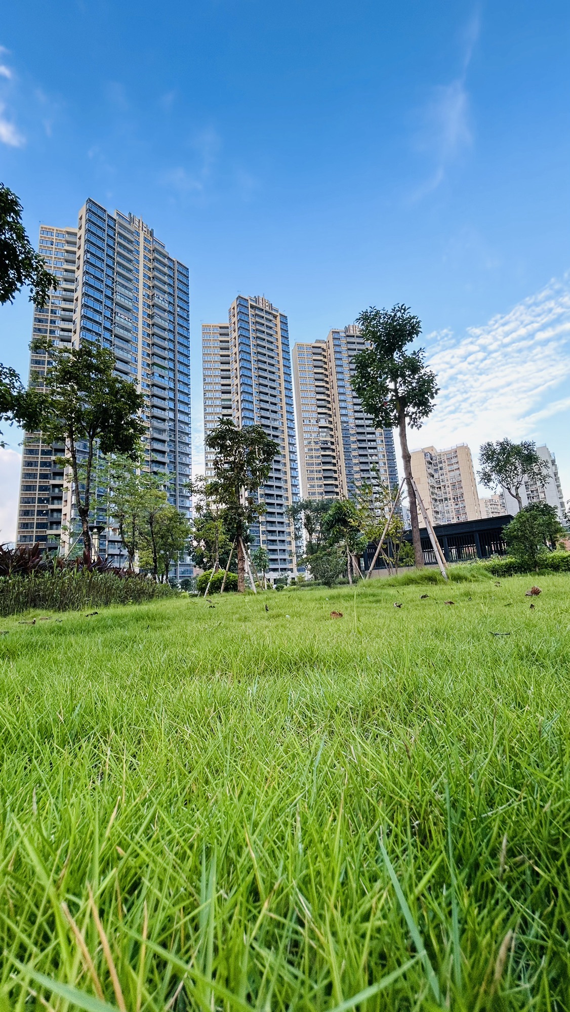 深圳中学龙华学校