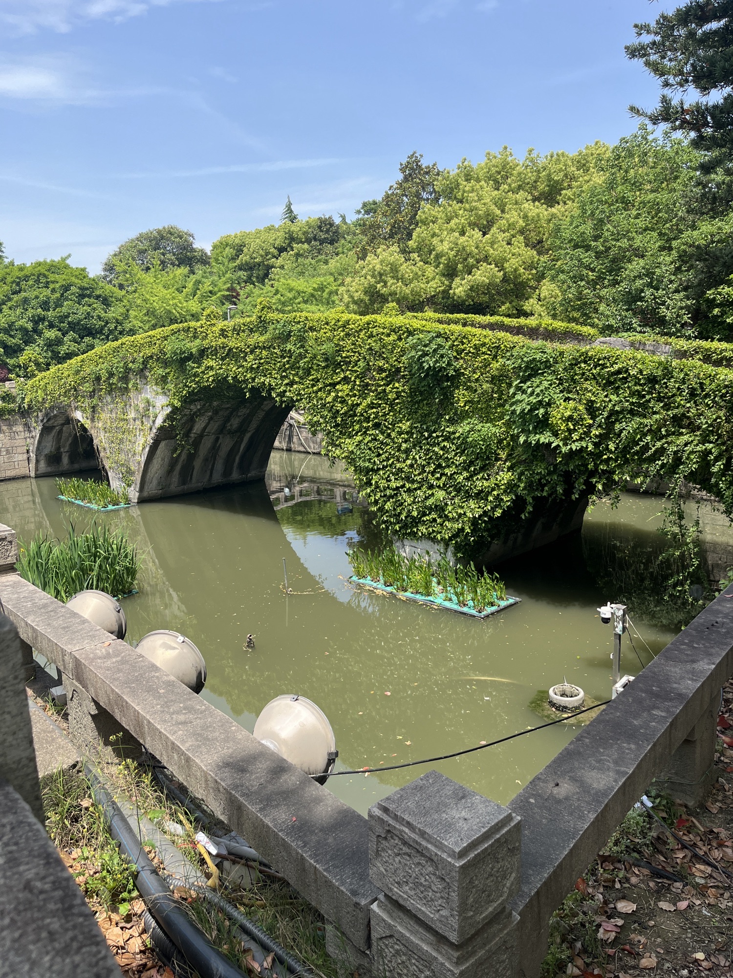 太仓石拱桥旅行图片 1