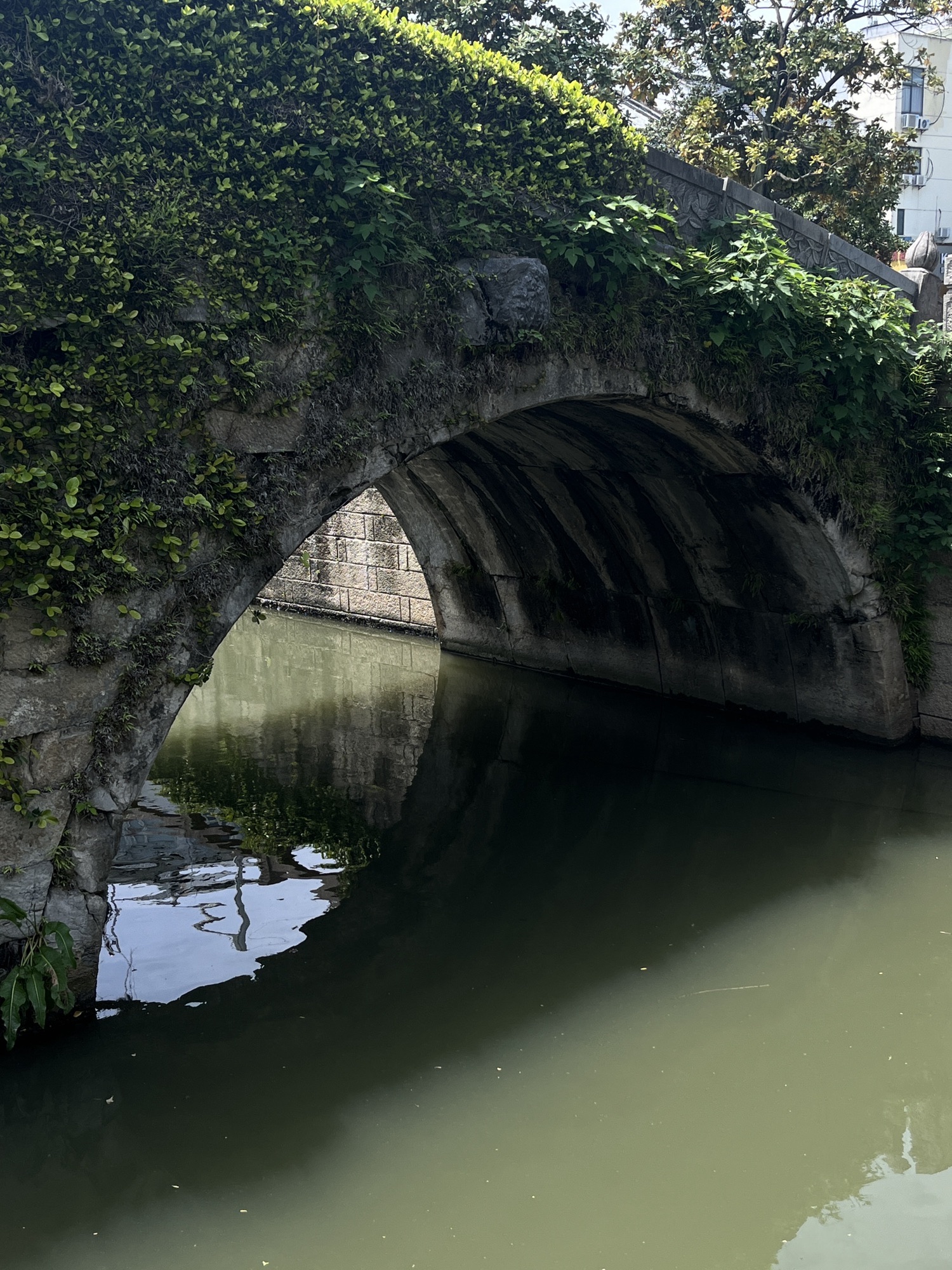 太仓石拱桥旅行图片 2