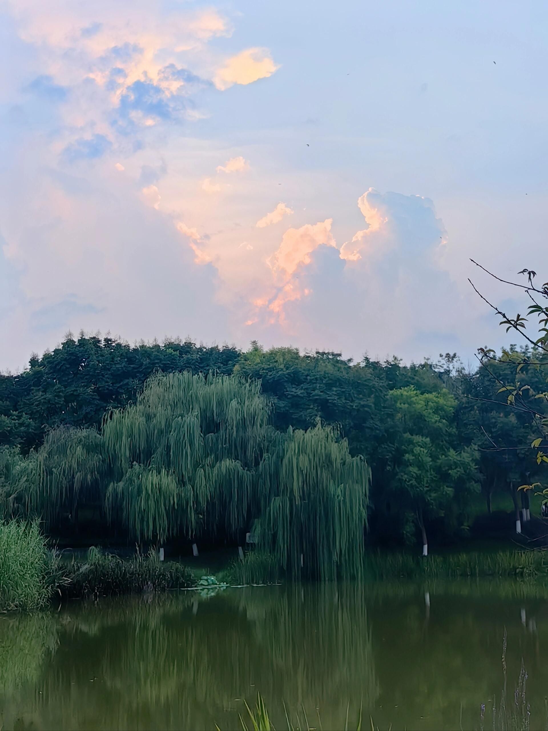 求实湿地公园旅行图片 2