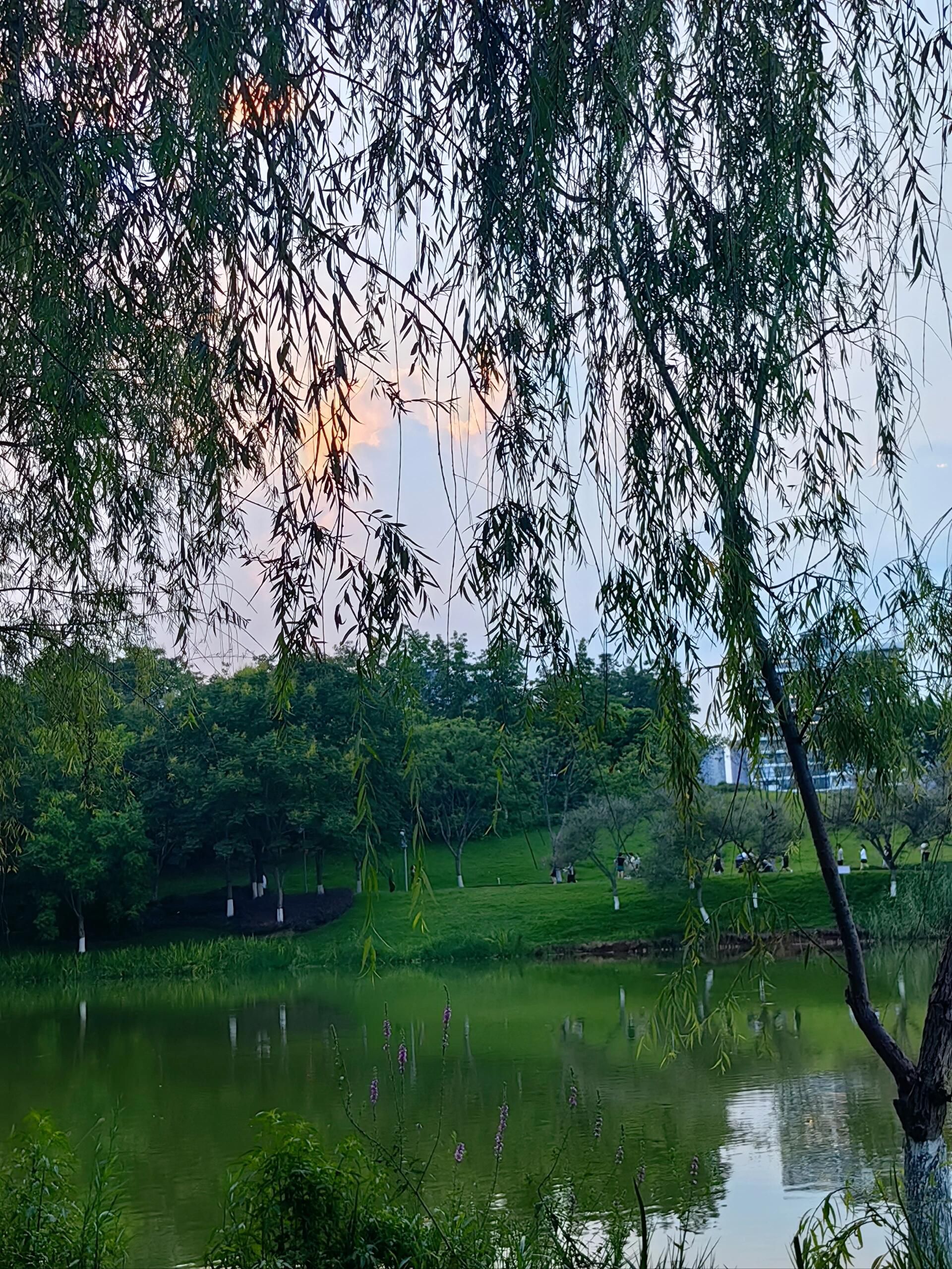 求实湿地公园旅行图片 3