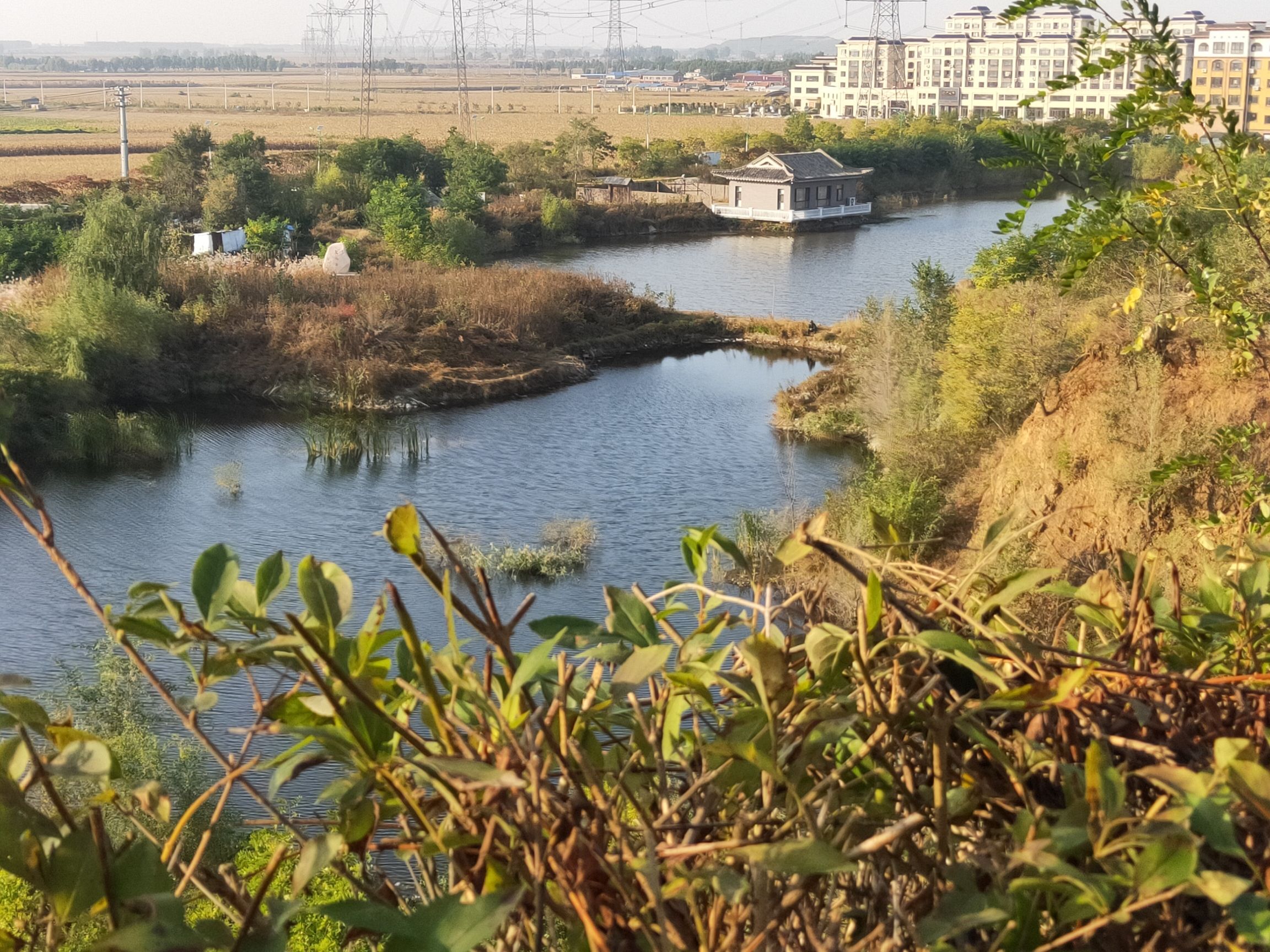 凤坵公園旅行图片 3