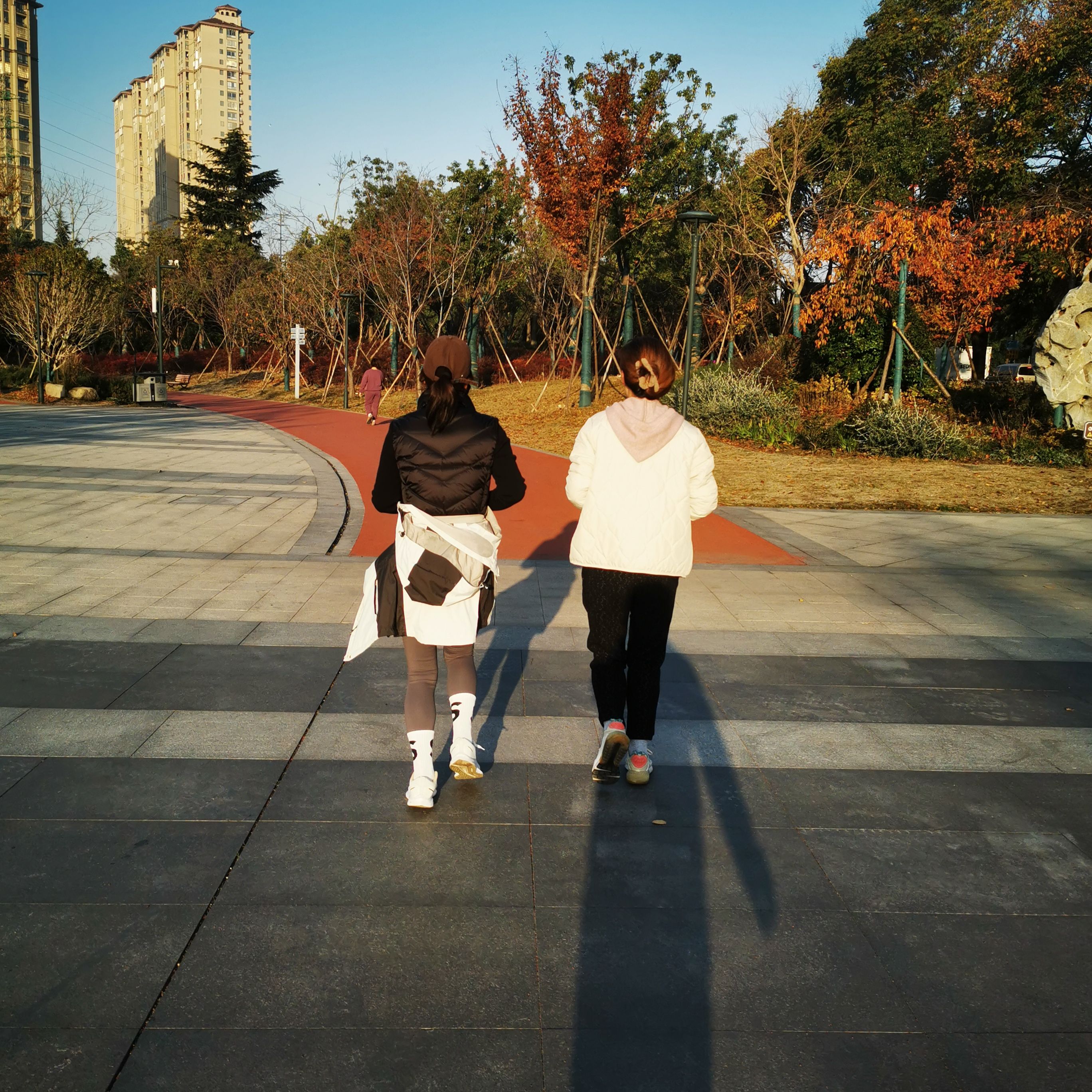 徐园旅行图片 1