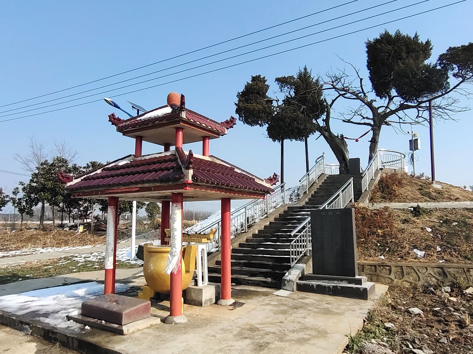 千年古柏旅行图片 1