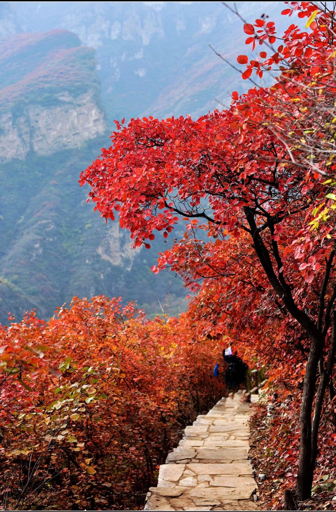 空山国家森林公园旅行图片 2