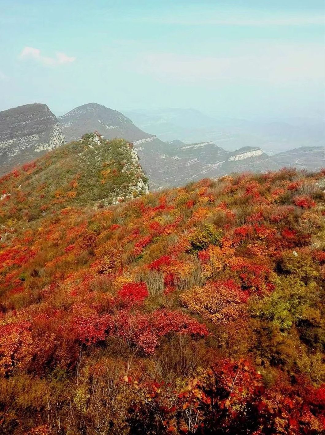 空山国家森林公园旅行图片 3