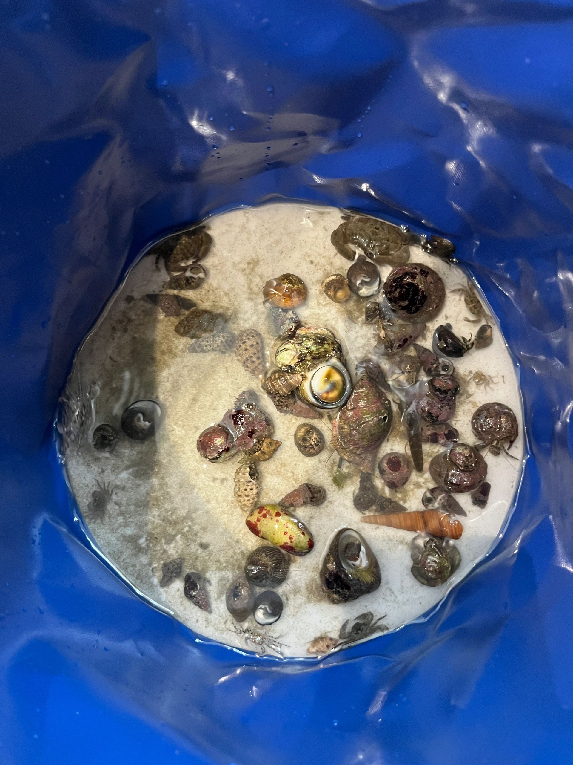 双月湾赶海公园旅行图片 3