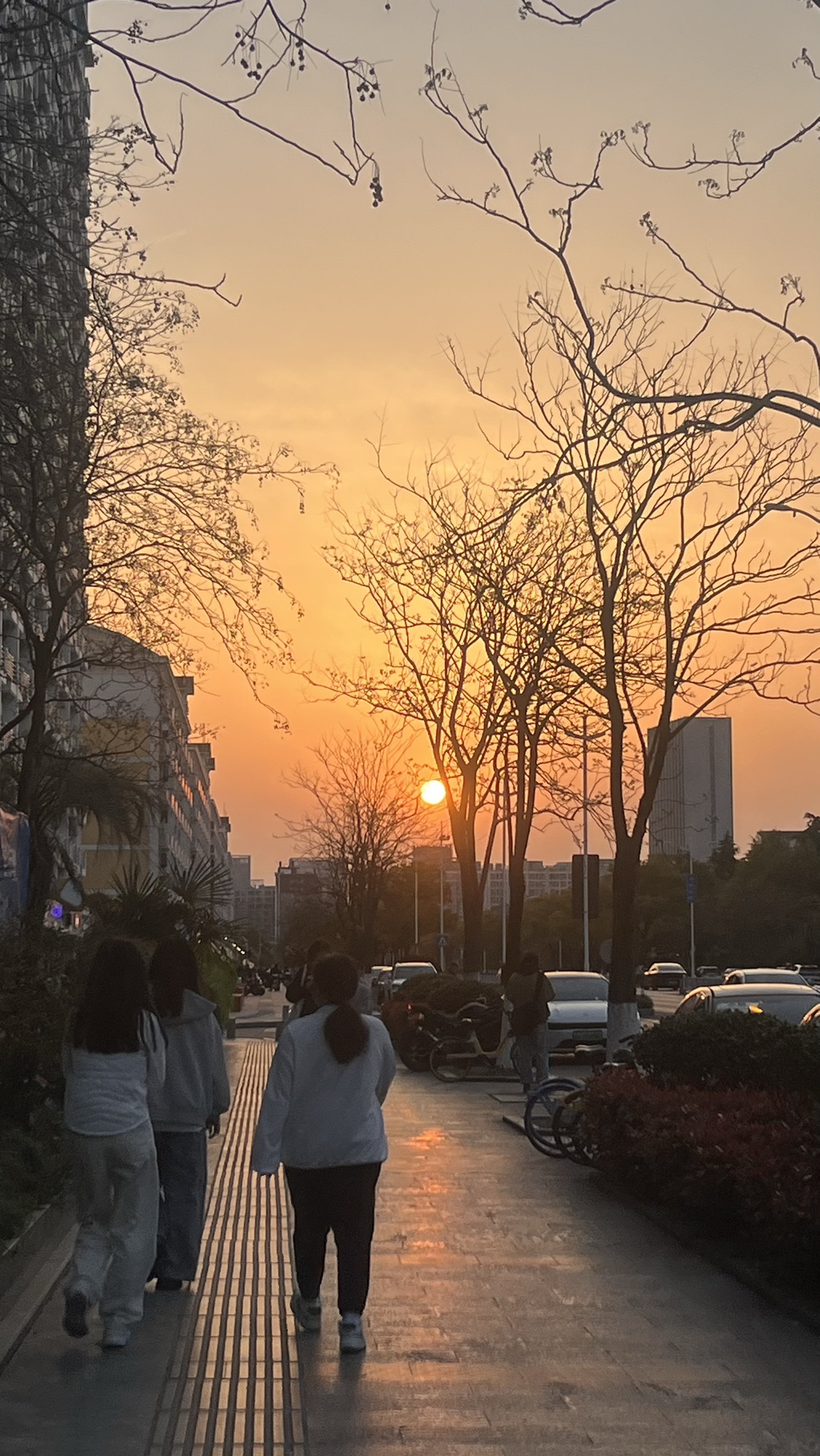 福雷德小区