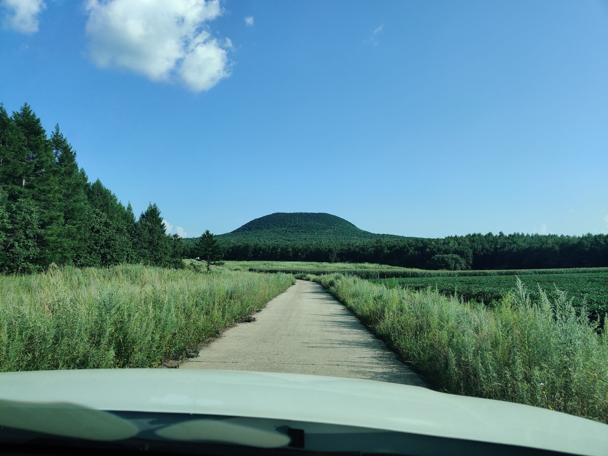 科洛火山森林公园旅行图片 1