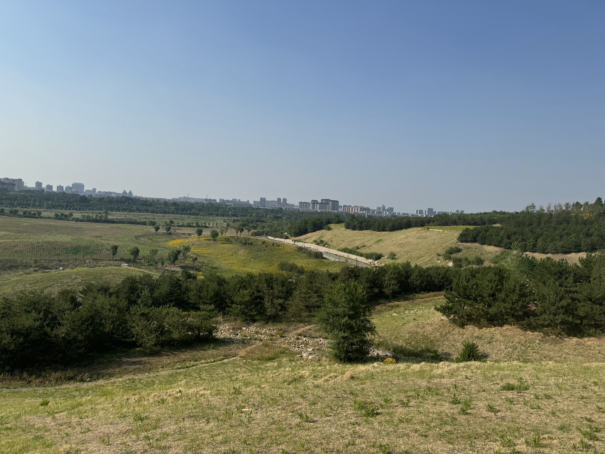 牛山郊野公园旅行图片 2
