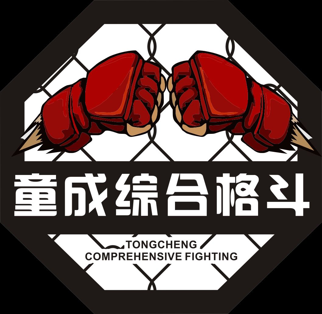 场地封面-童成综合格斗(中央华府店)