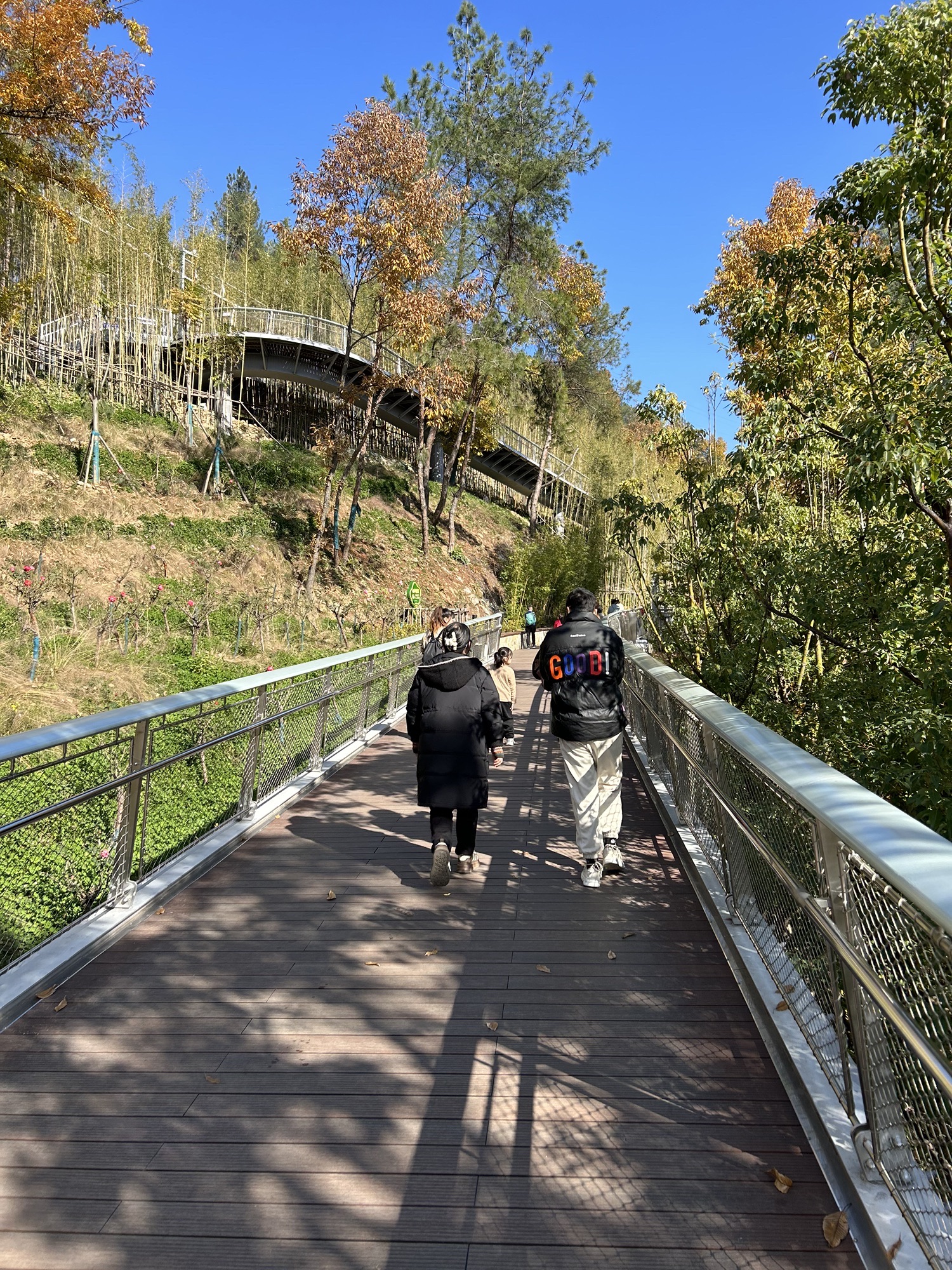 北京路百强螺旋塔旅行图片 3