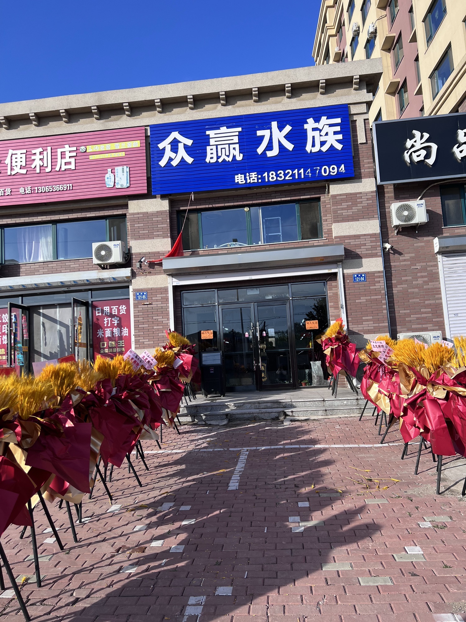 众赢水族