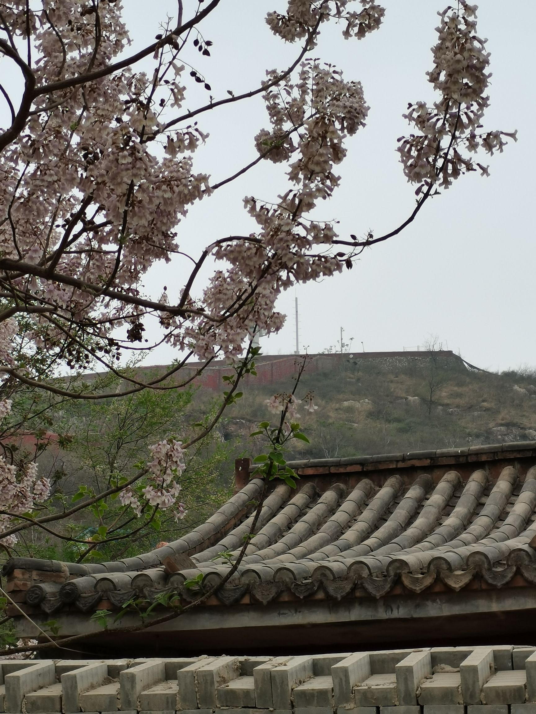 三霄宫旅行图片 3