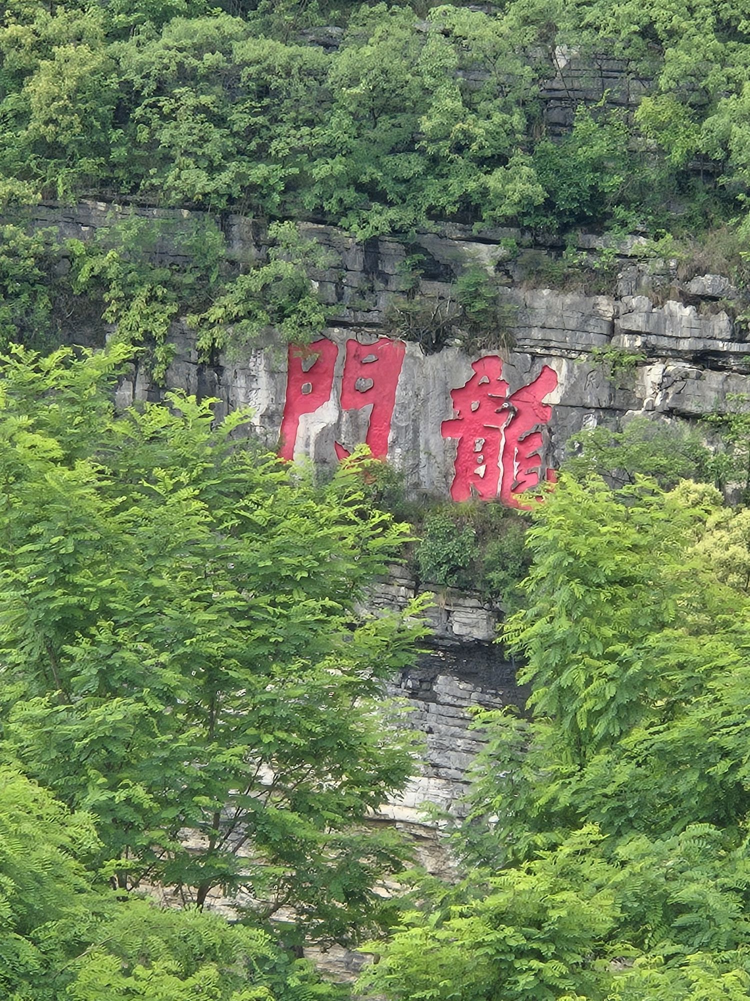 龙门摩崖石刻旅行图片 1