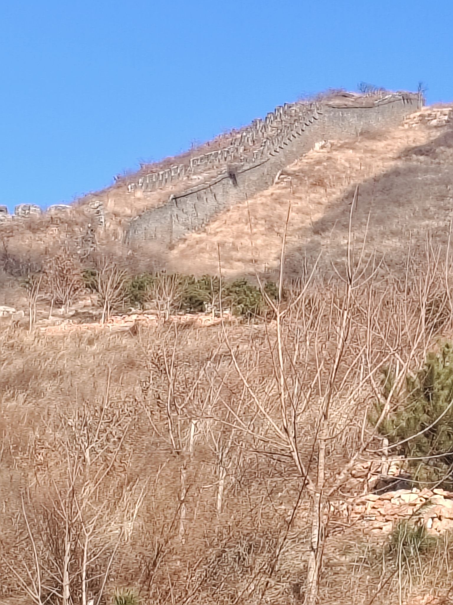 长城狩猎场旅行图片 1