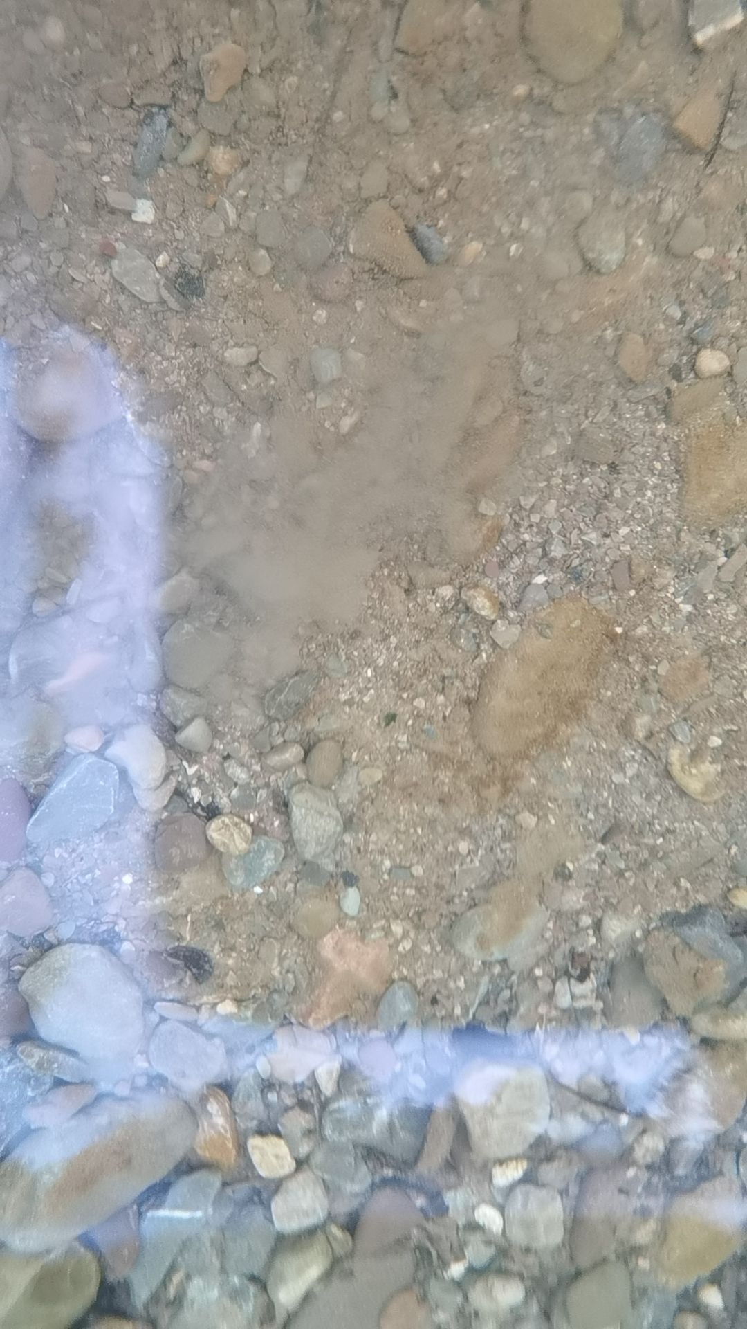 临江丽峡景区旅行图片 1