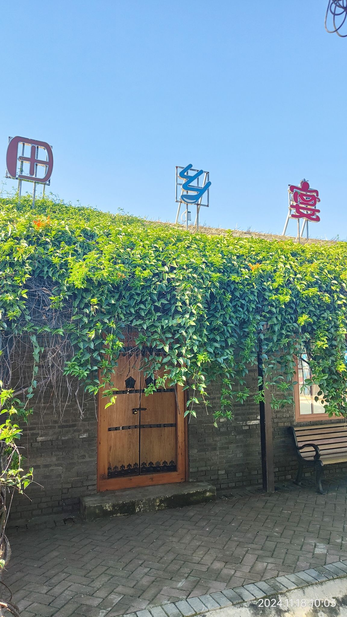 昔格达田园旅居景区旅行图片 3