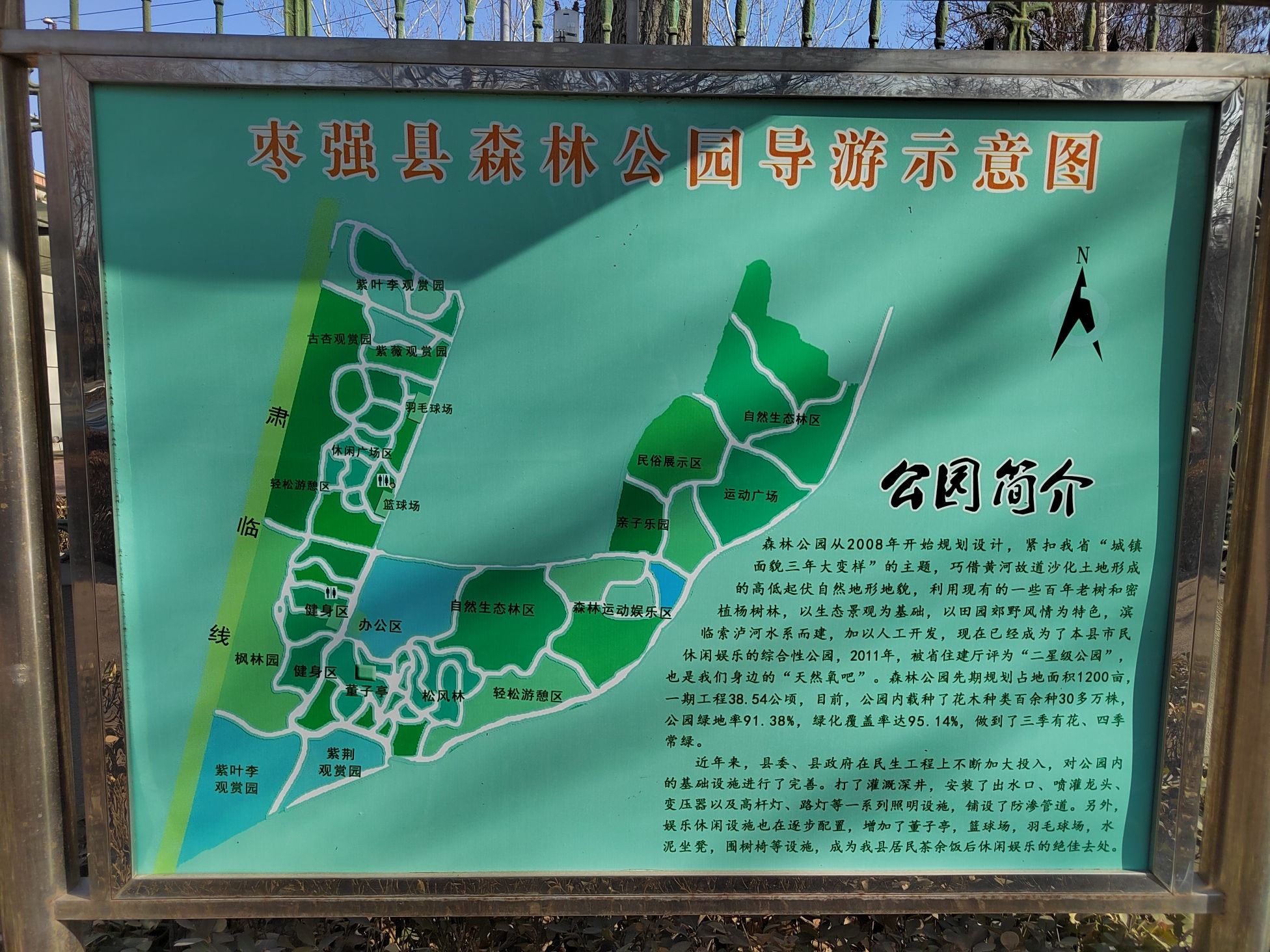 枣强森林公园旅行图片 1