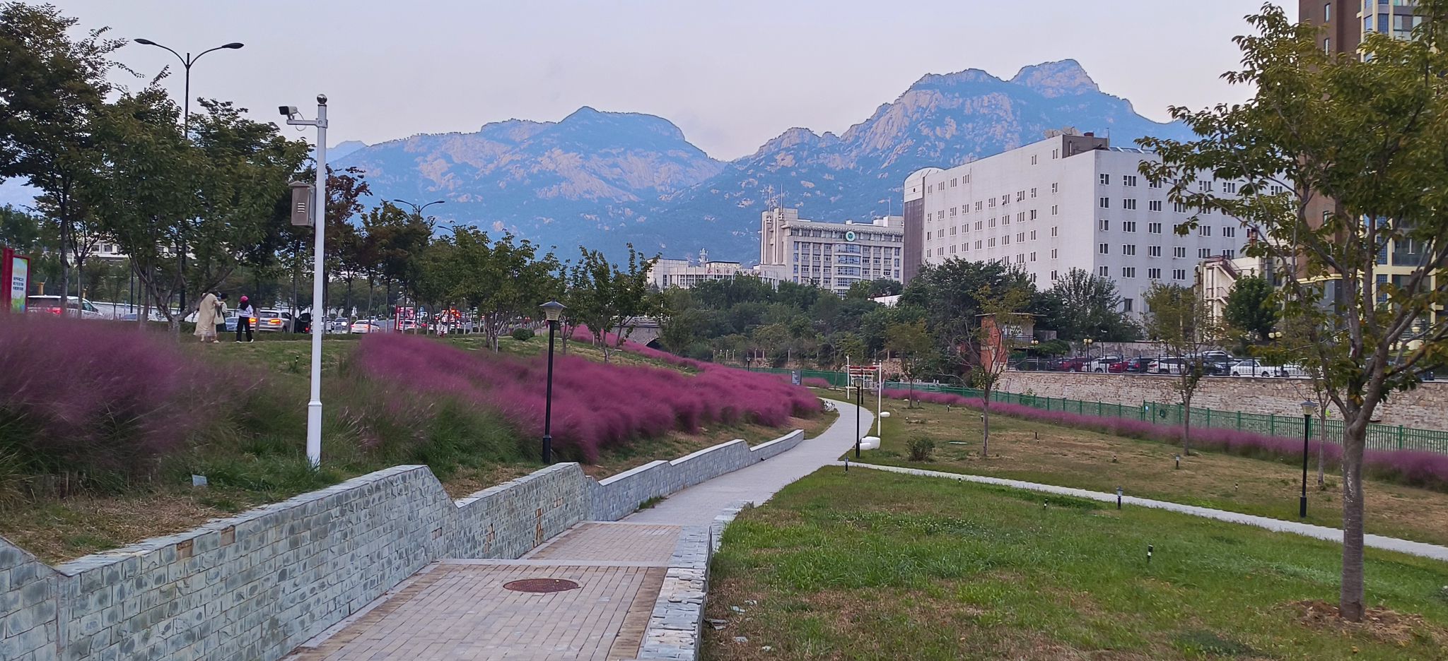 粥店街角公园旅行图片 2
