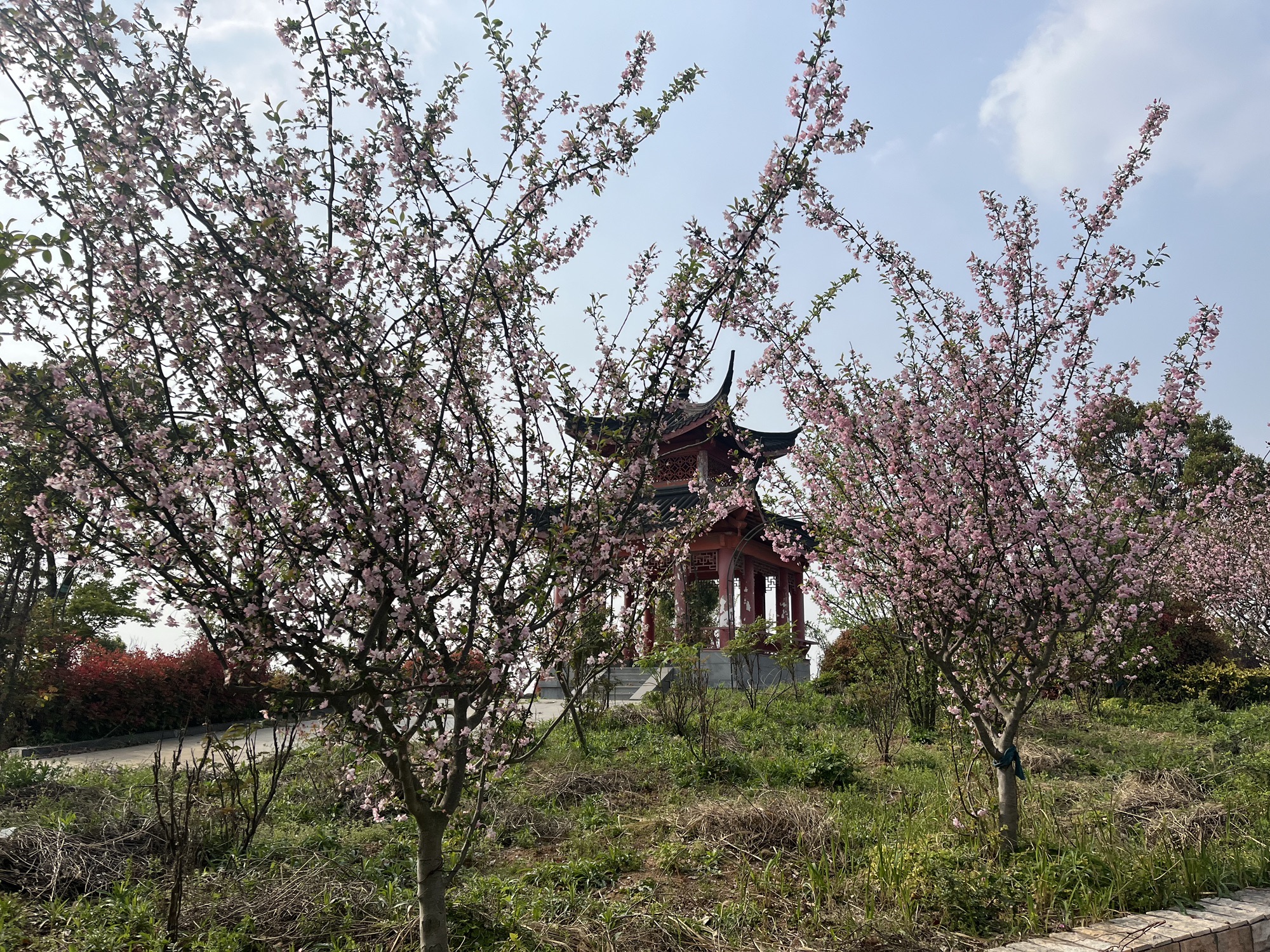 牡丹山景区
