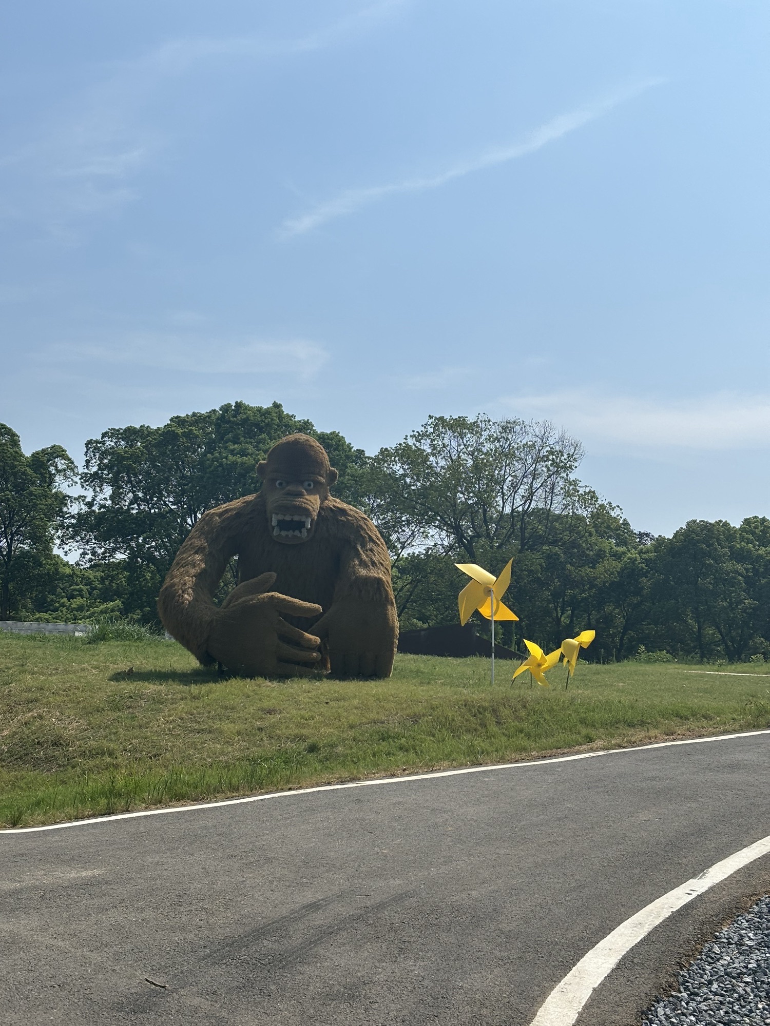 吴城候鸟小镇狮子山观鸟点旅行图片 3