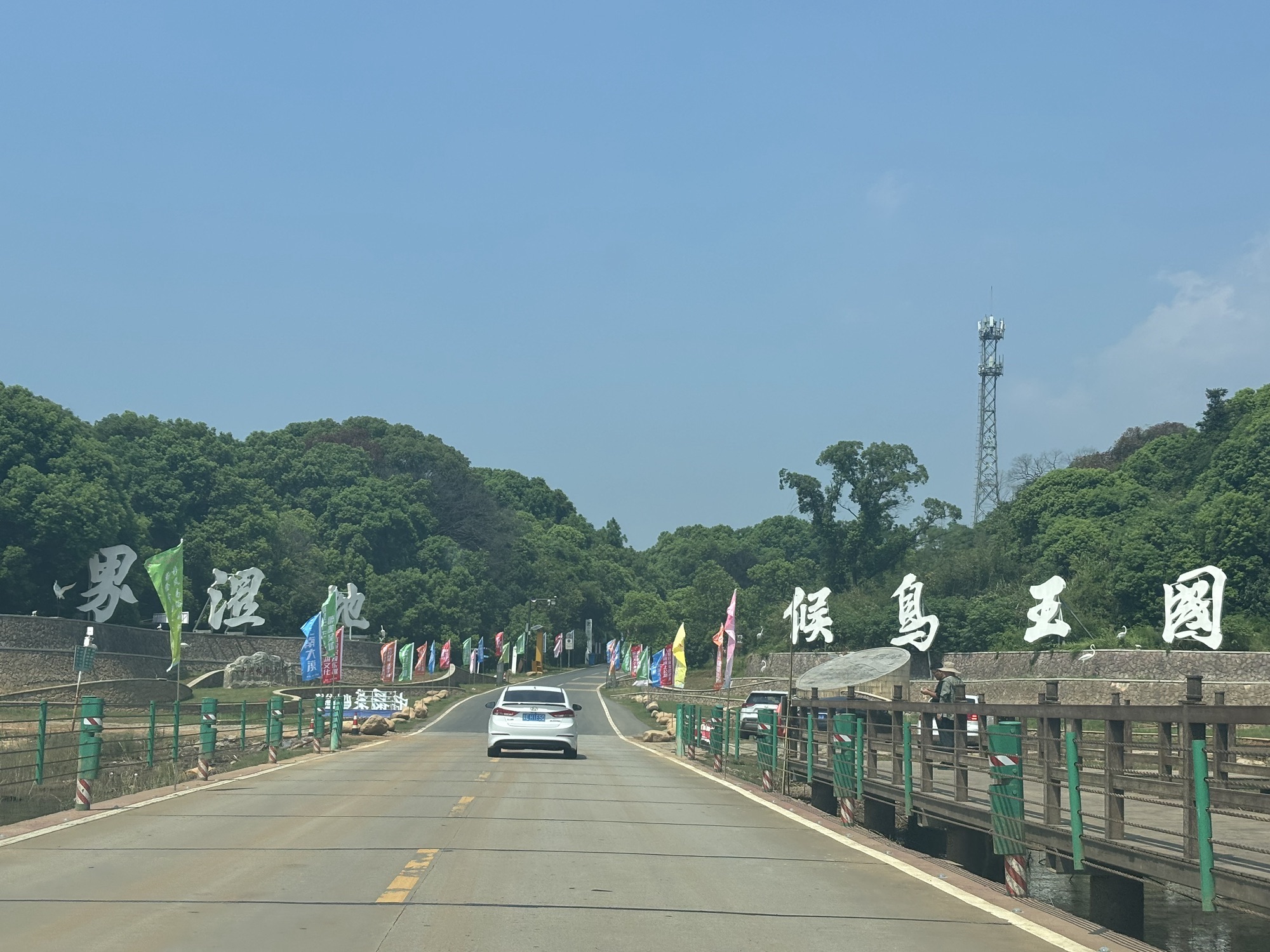 吴城候鸟小镇狮子山观鸟点旅行图片 1