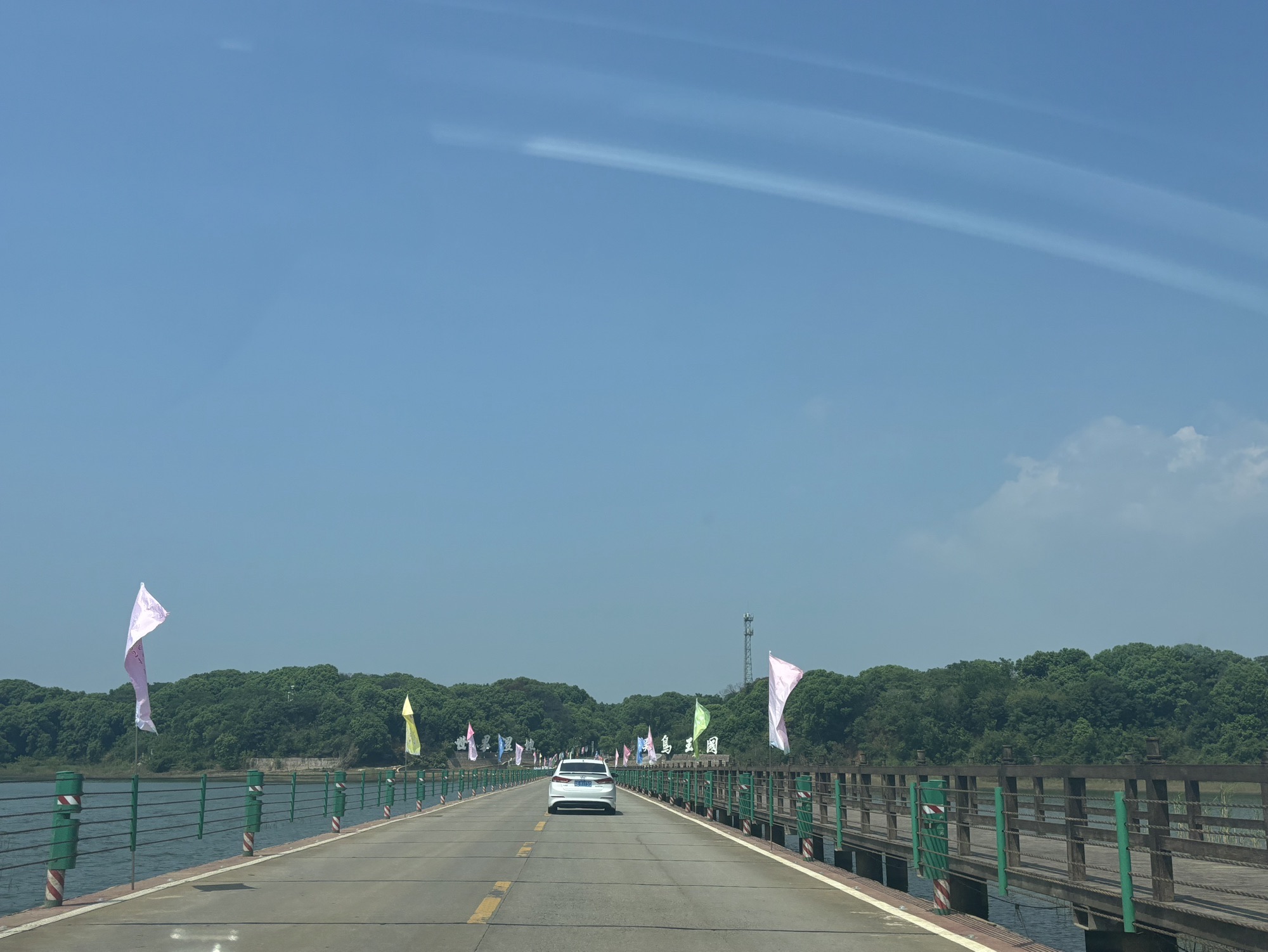 吴城候鸟小镇狮子山观鸟点旅行图片 2