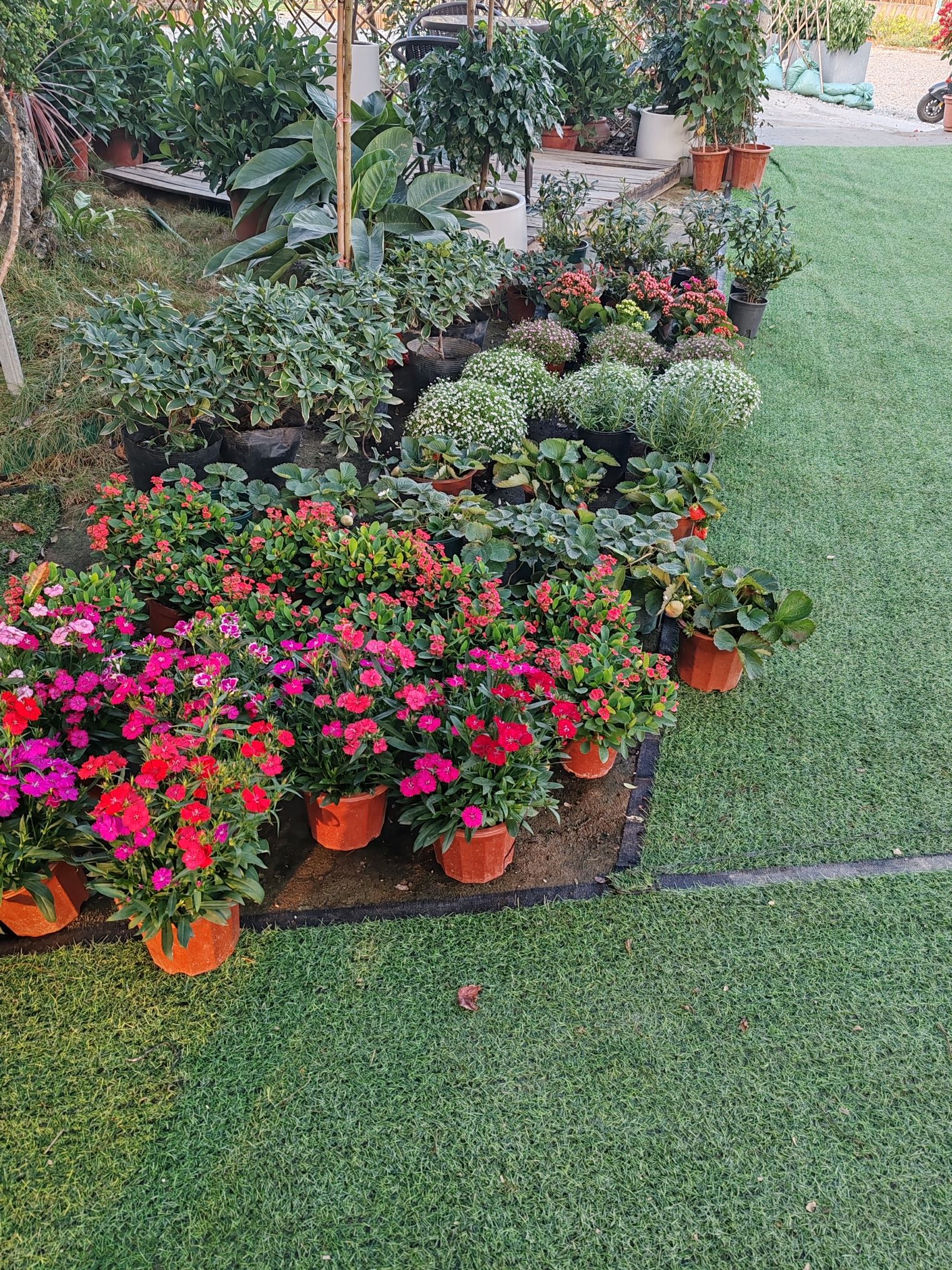 花植苑鲜花绿植园林(不做鲜花·花束)