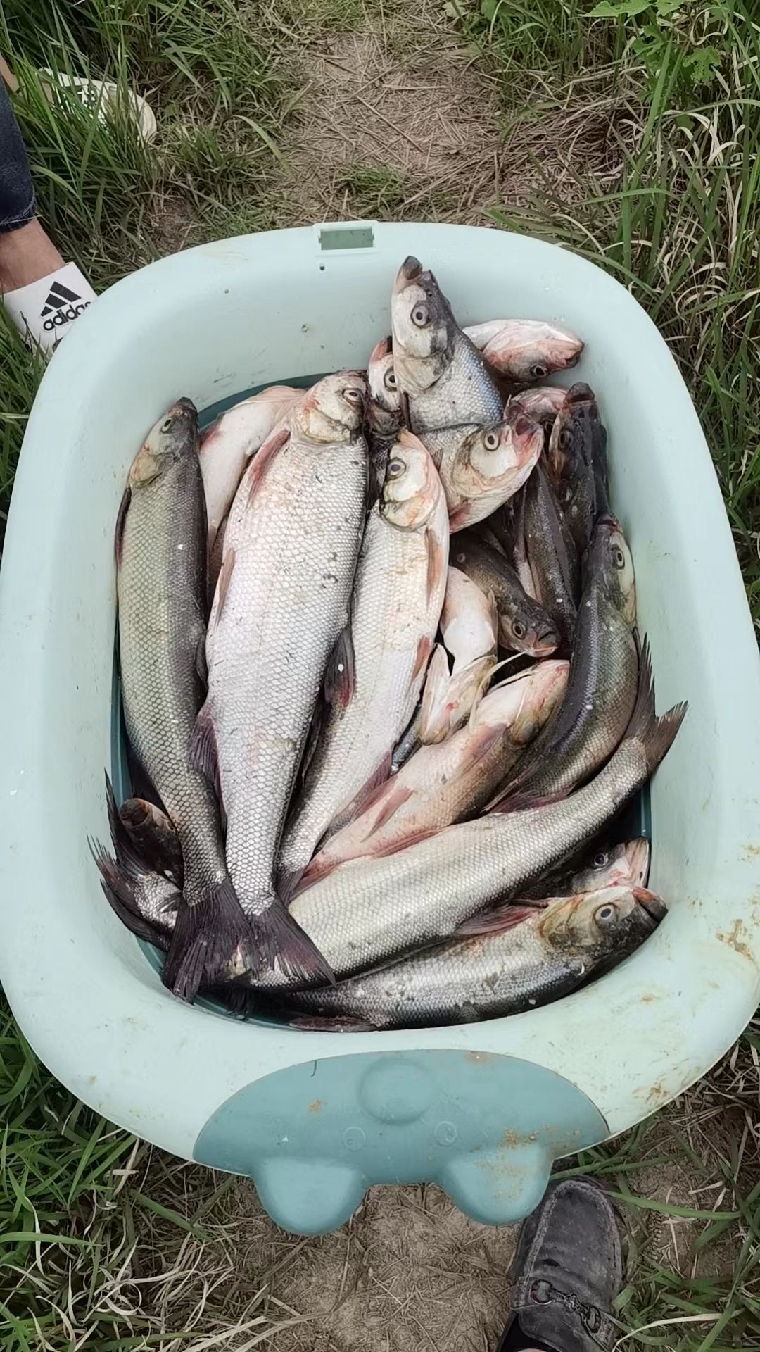 芜湖悦龙湾钓场