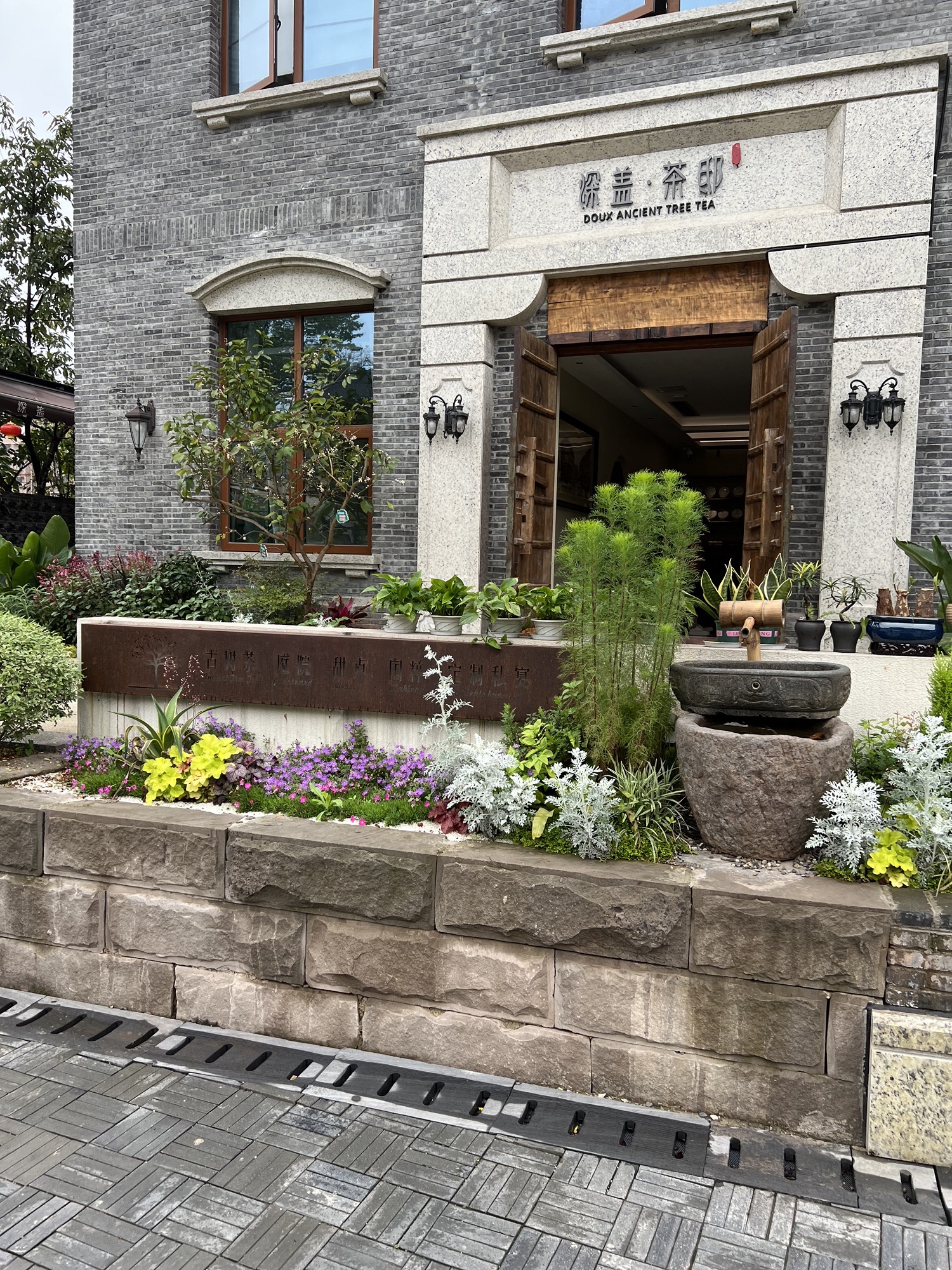 场地封面-深盖古树茶