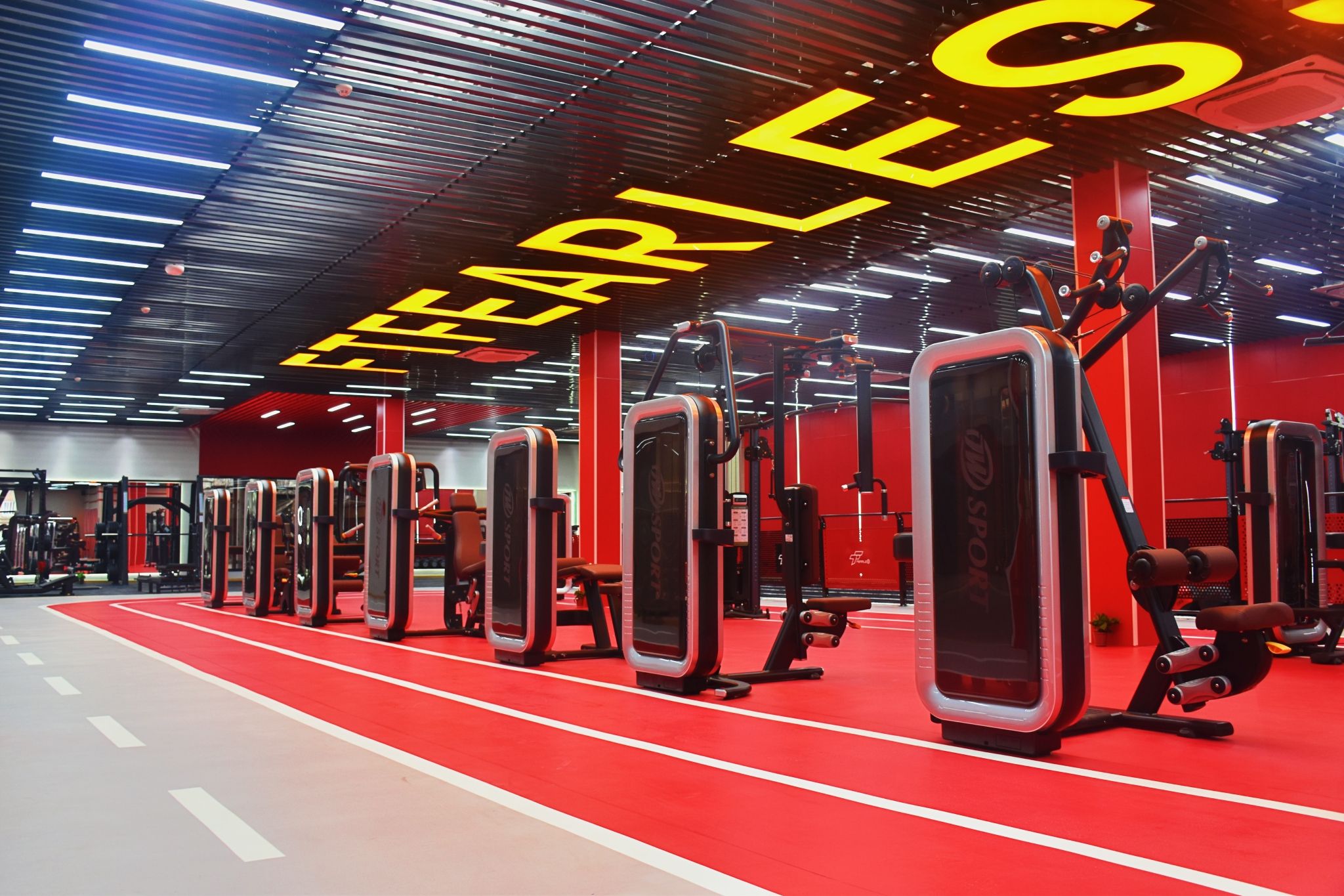 场地封面-FTfearless健身(宝山店)