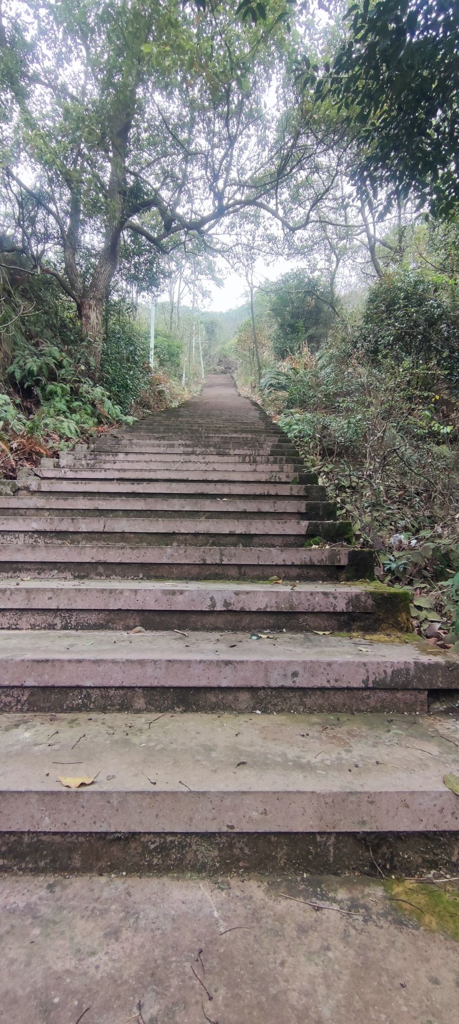 小岙游步道旅行图片 2