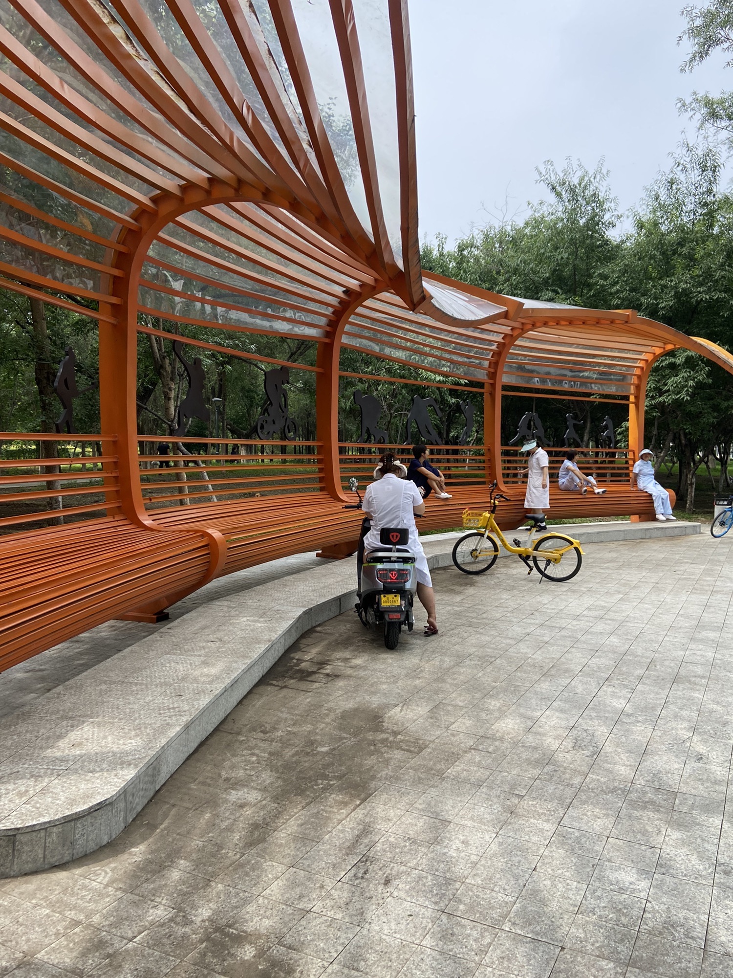 浑南体育公园旅行图片 3