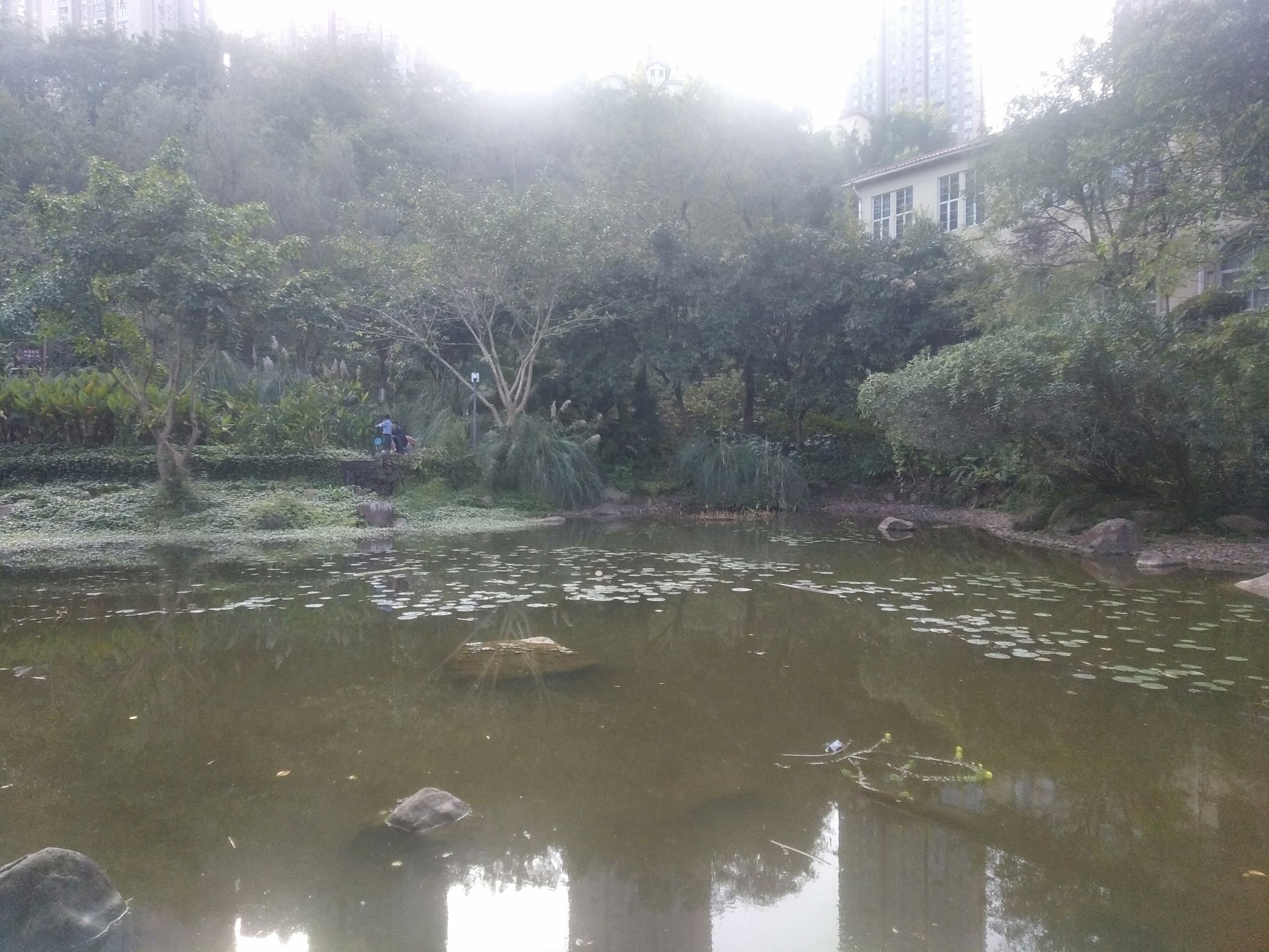 文培公园旅行图片 1