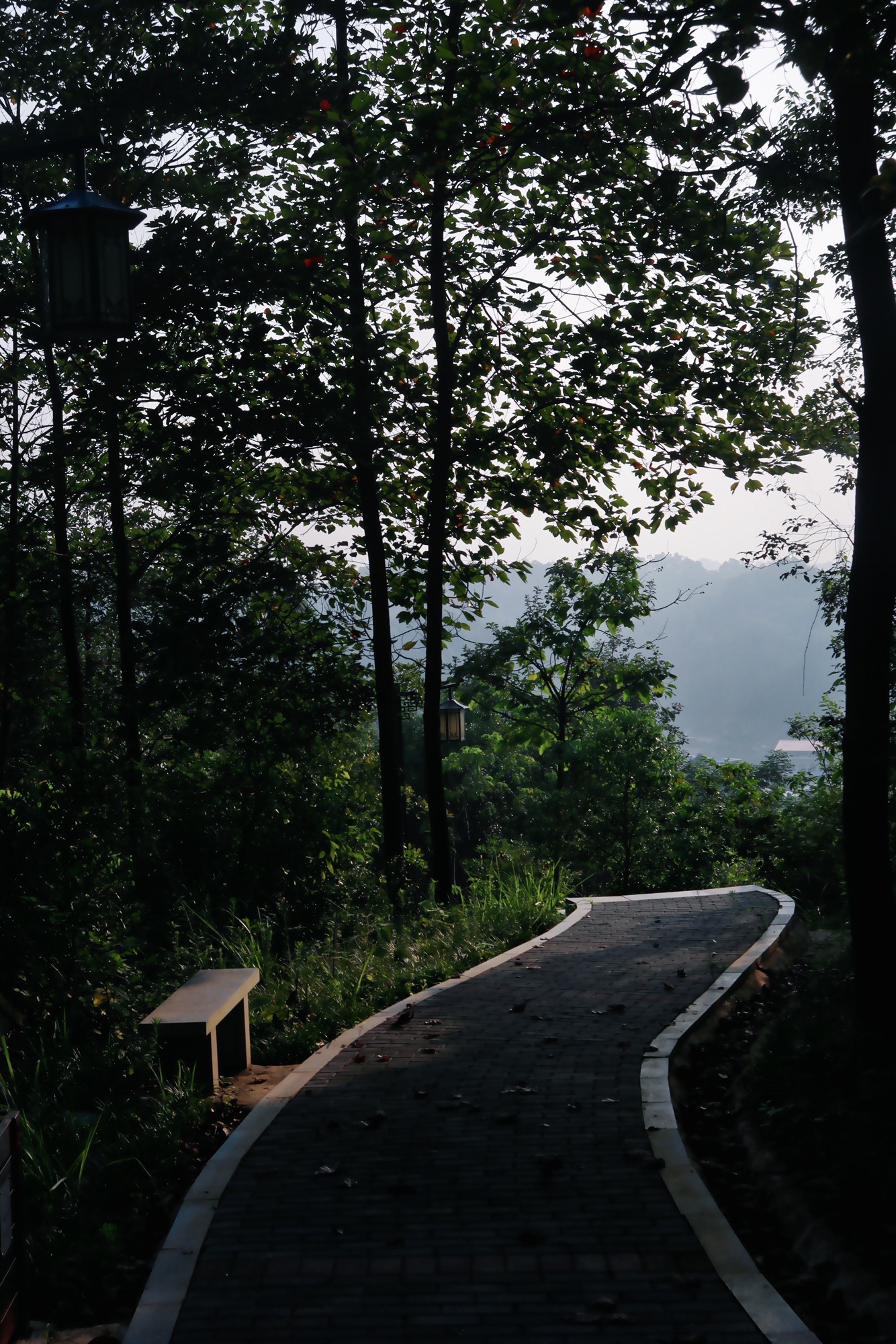 颜家岭公园旅行图片 3