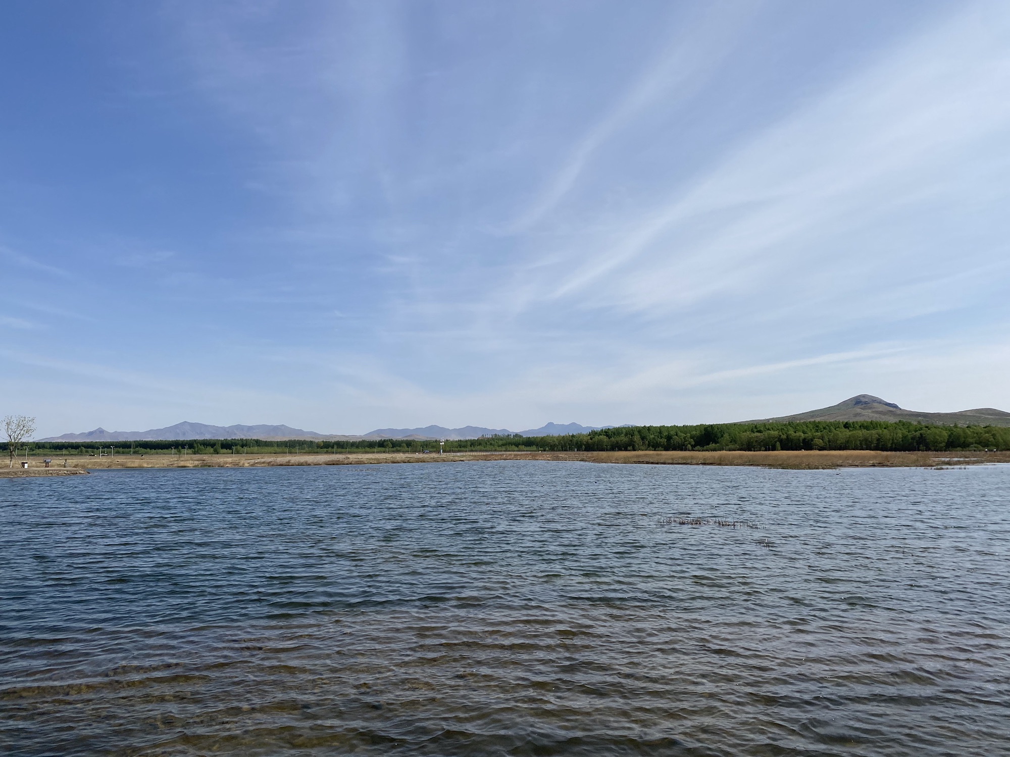 内蒙古巴林左旗乌力吉沐沦河国家湿地公园旅行图片 3
