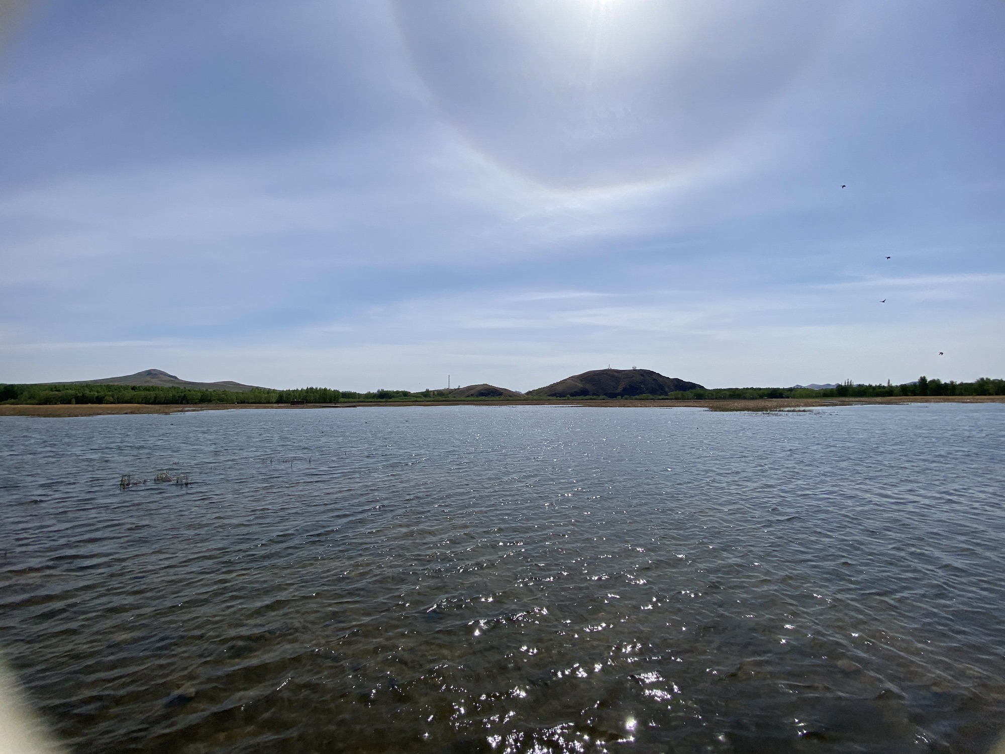 内蒙古巴林左旗乌力吉沐沦河国家湿地公园旅行图片 2