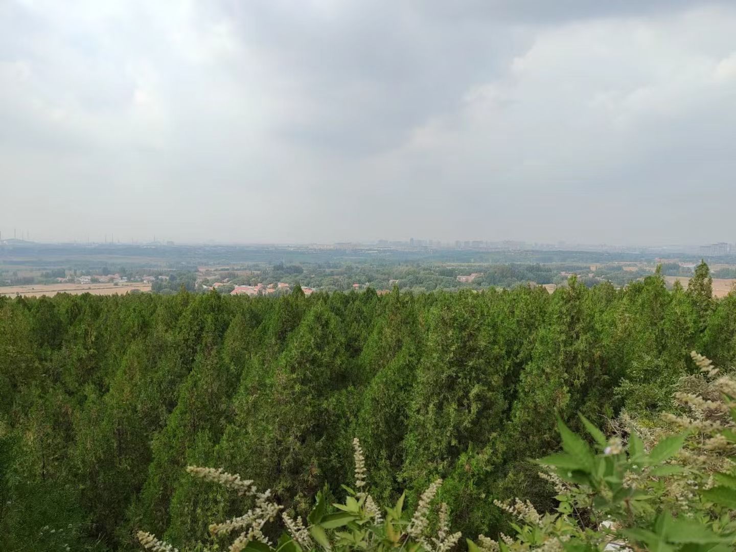 稷山旅行图片 2