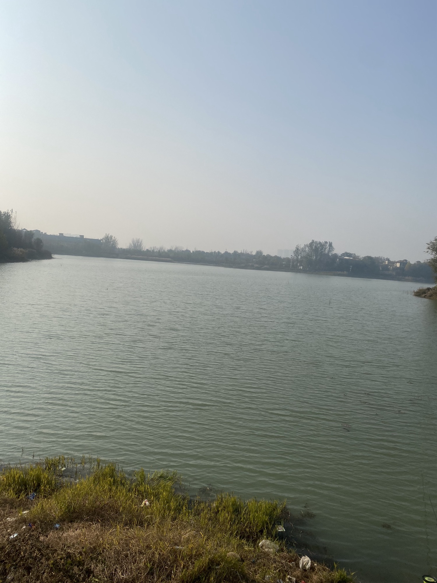 郑州市中草药植物公园旅行图片 1