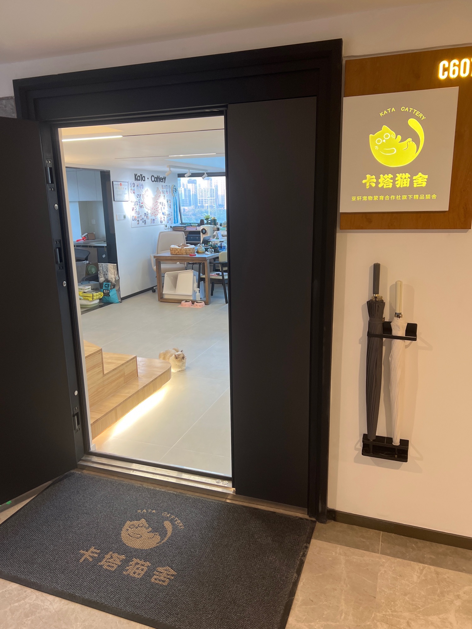 卡塔猫舍(光谷中心城店)