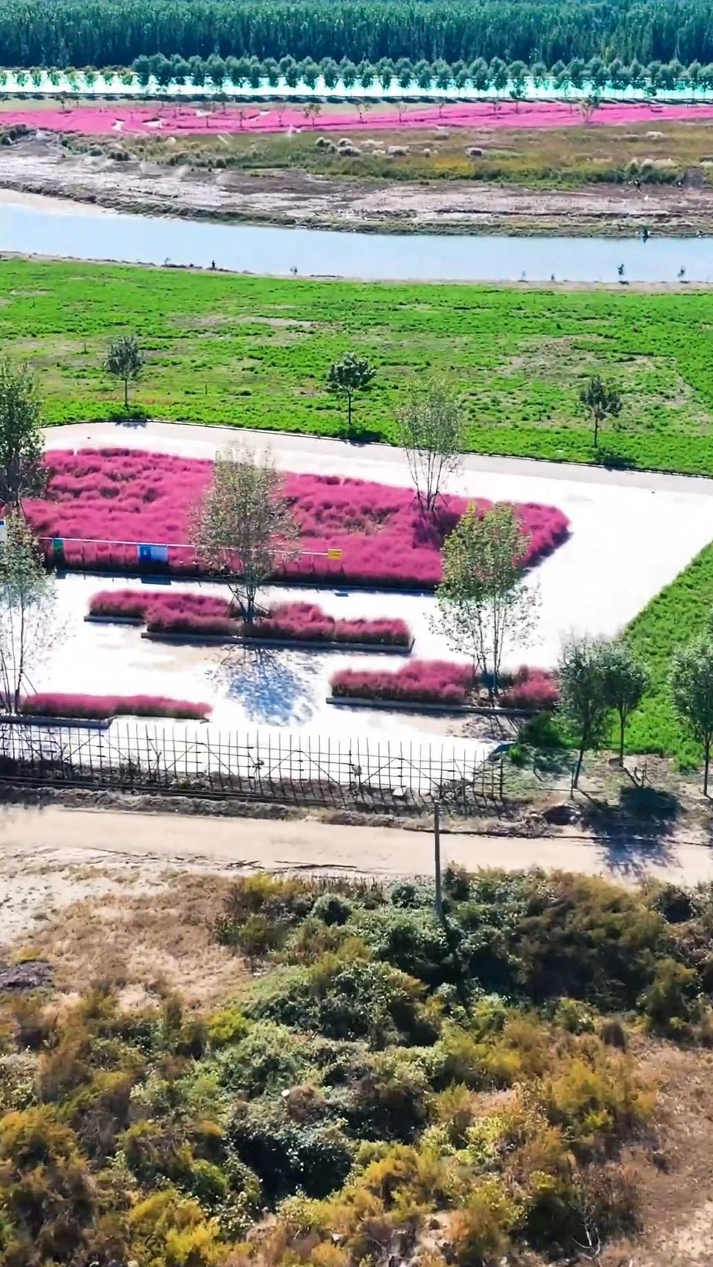 定州湿地公园旅行图片 1