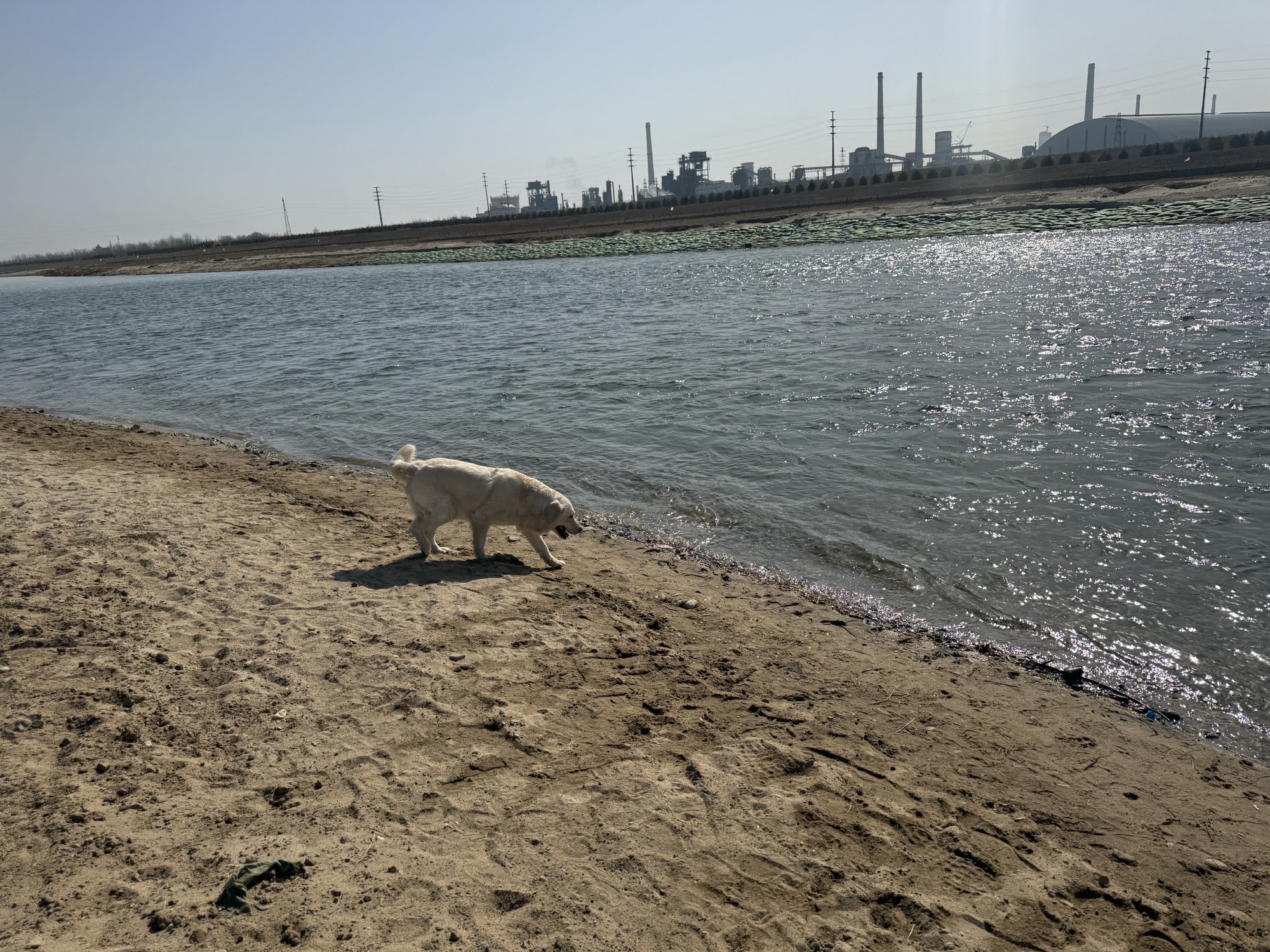 定州湿地公园旅行图片 1