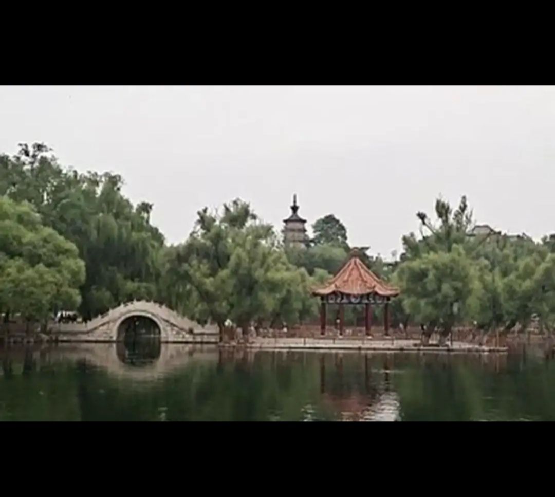 定州湿地公园旅行图片 1