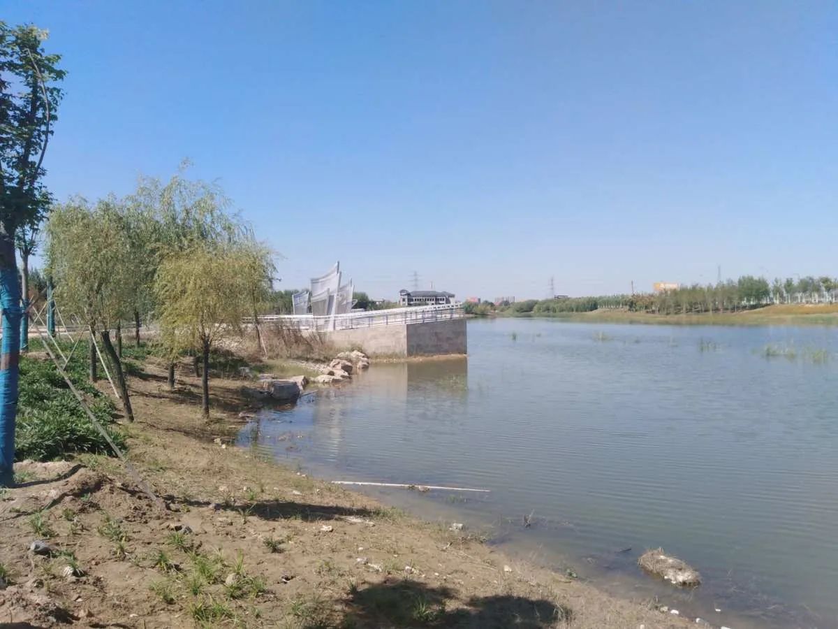 定州湿地公园旅行图片 1